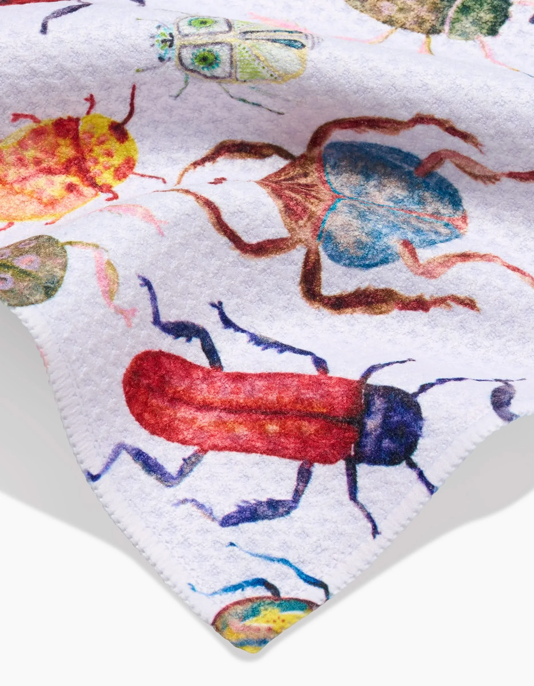 African Beetles - Image 2