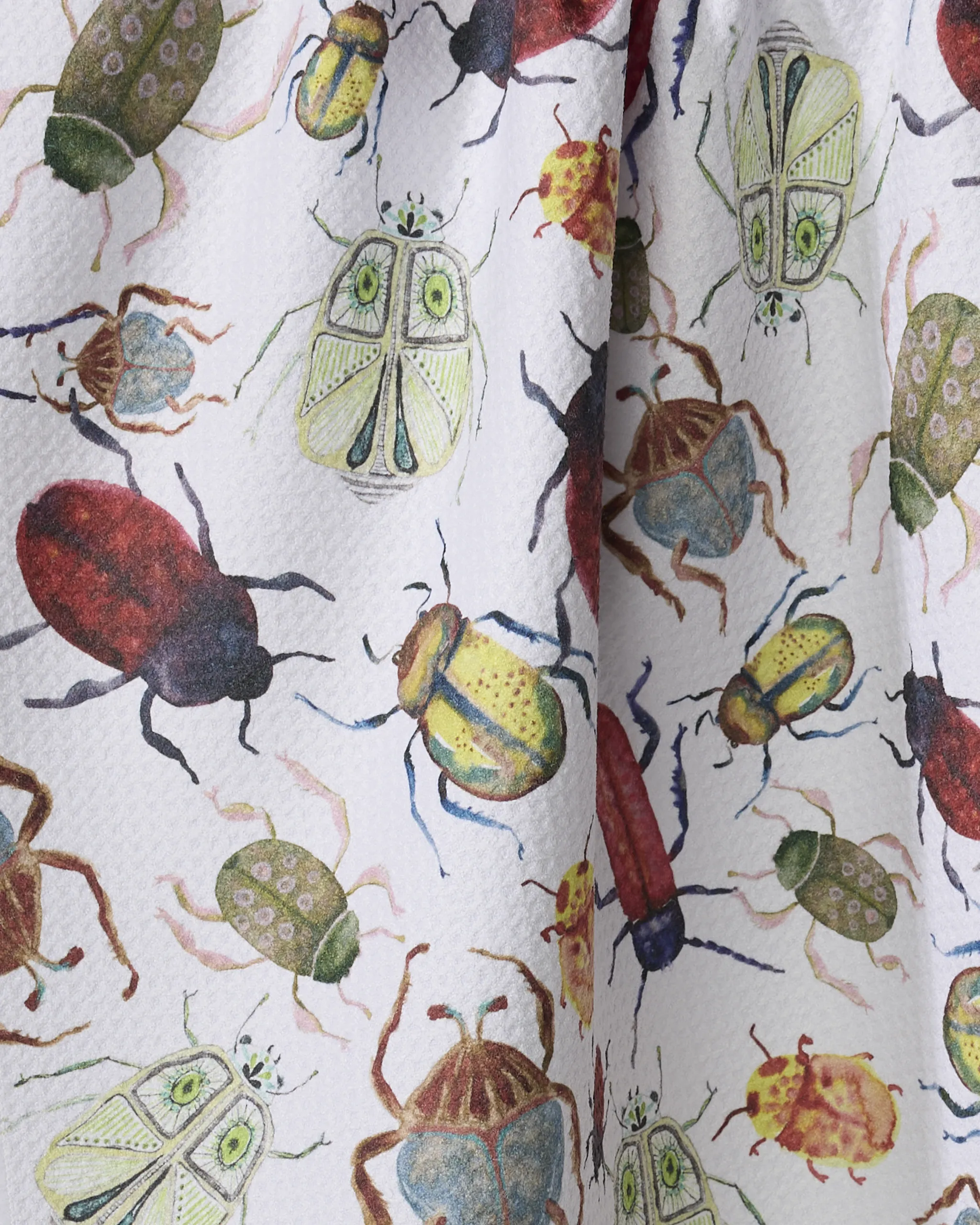 African Beetles - Image 2