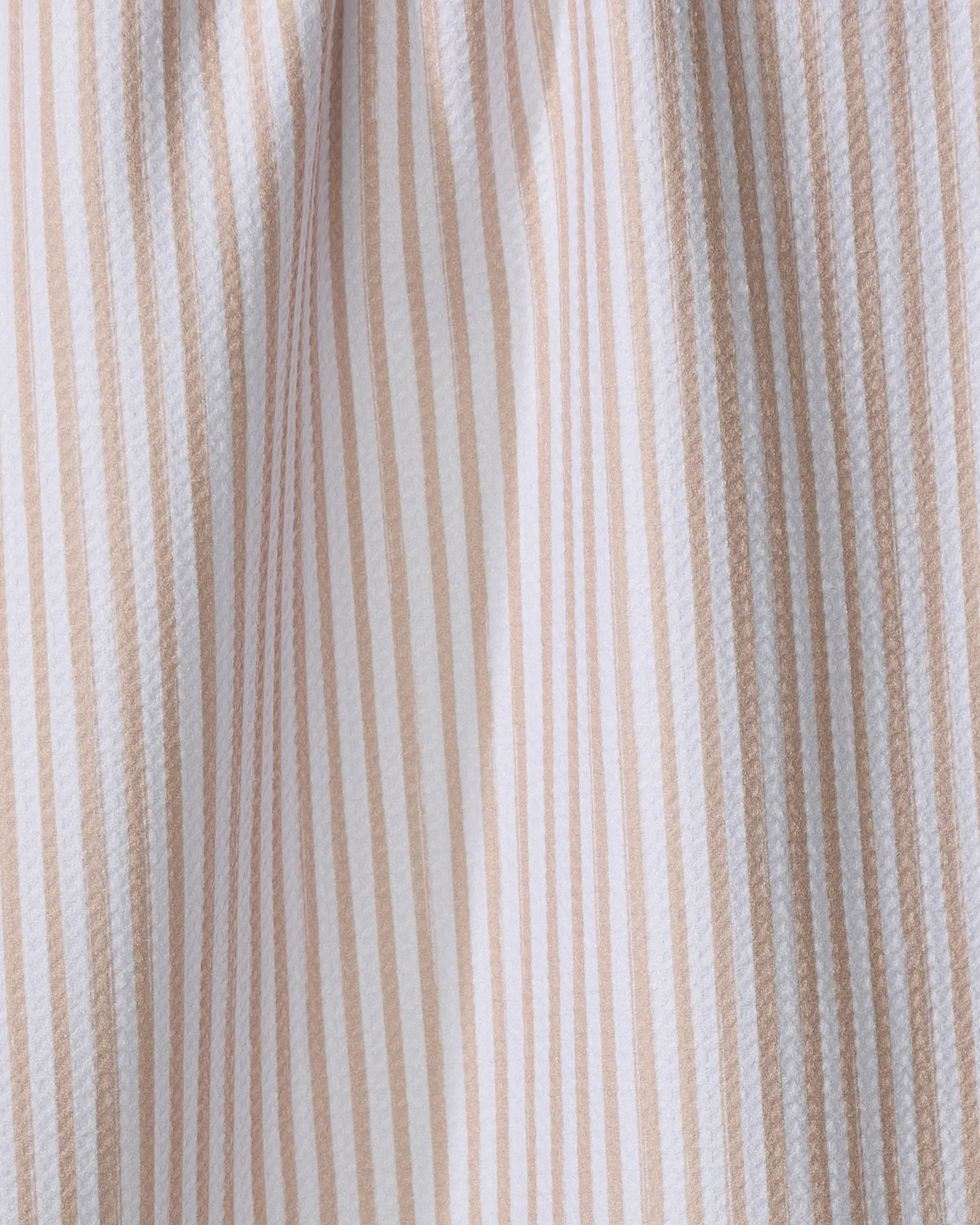 Apricot - Image 2