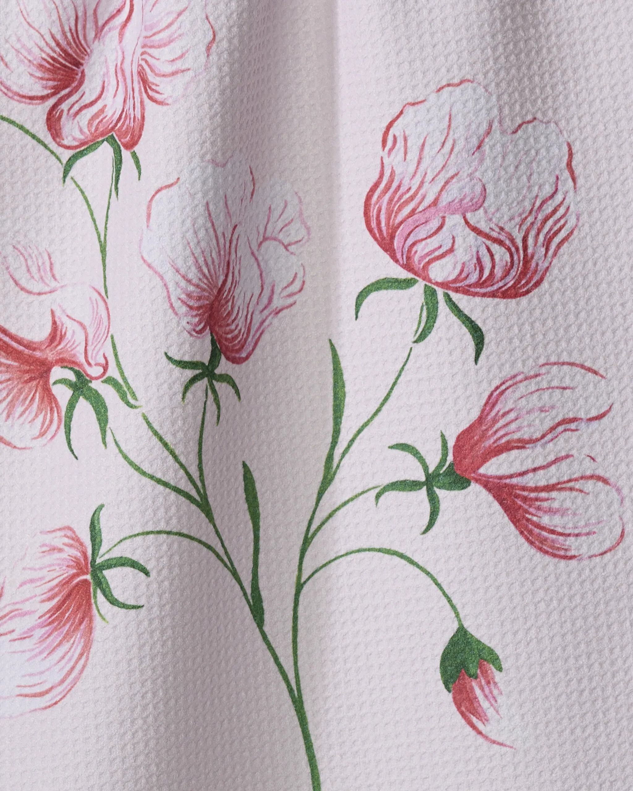 April Sweet Pea - Image 2