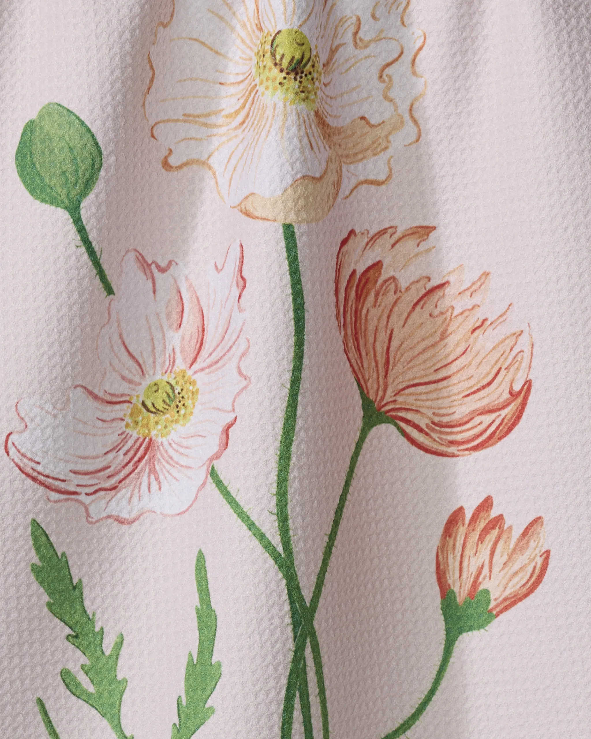August Poppy - Image 2