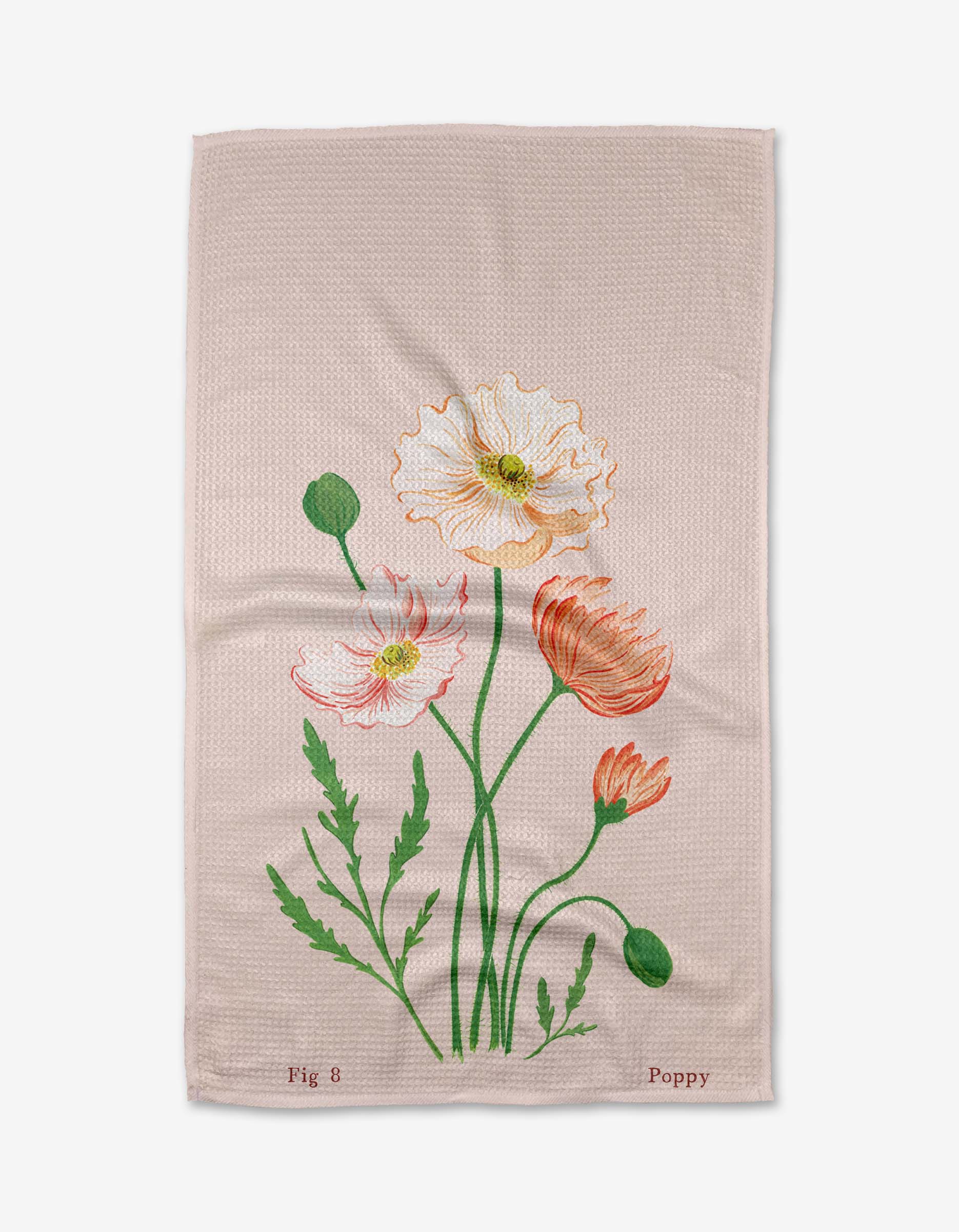 August Poppy - Image 3