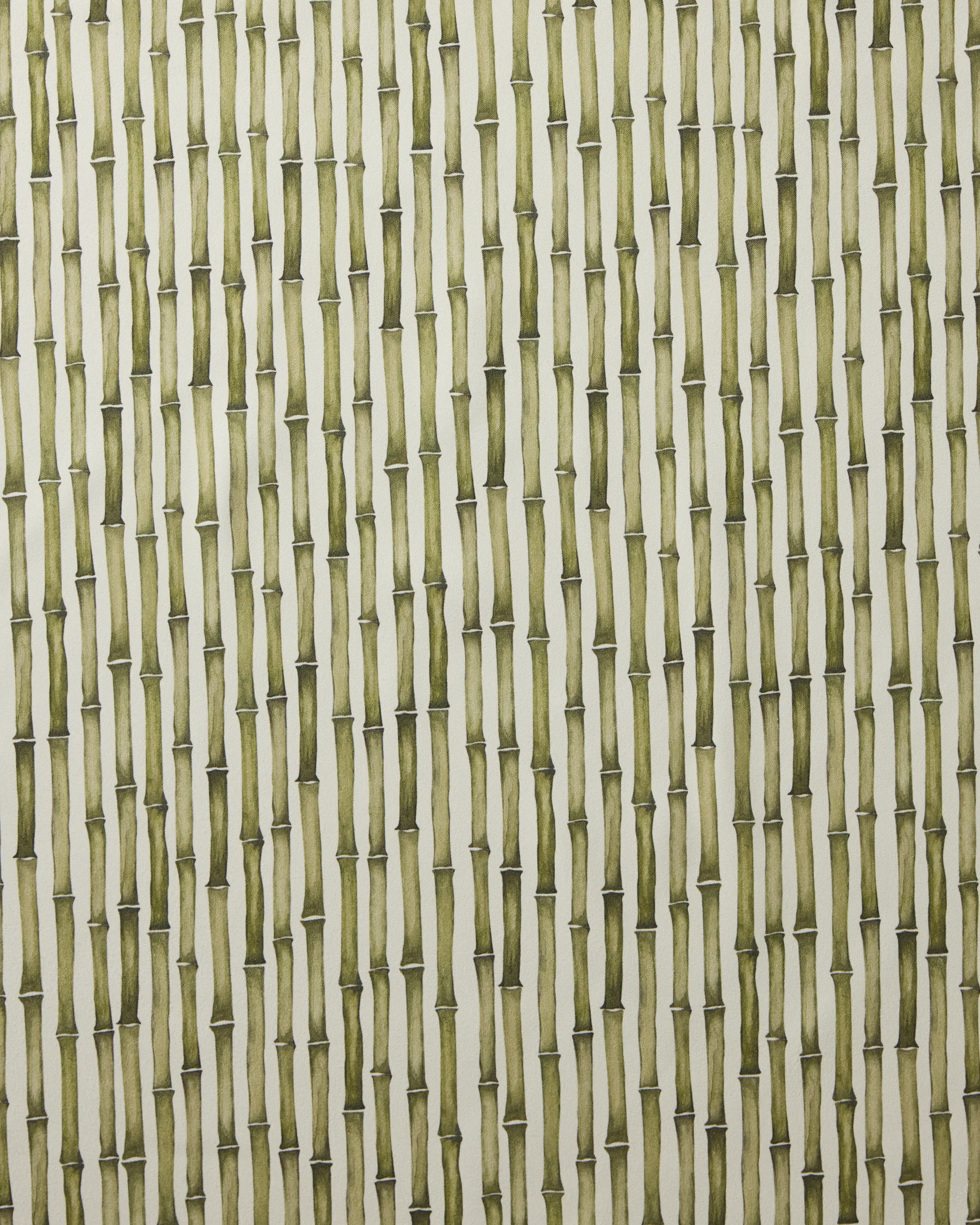 Bamboo - Image 3
