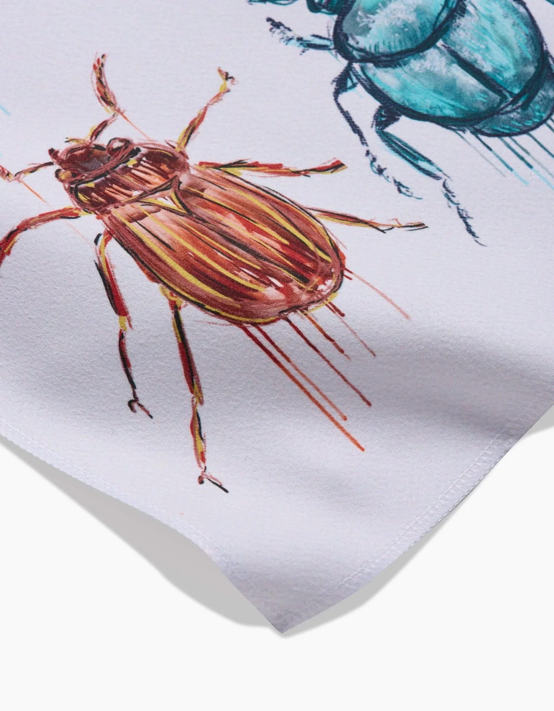 Beetles - Image 2