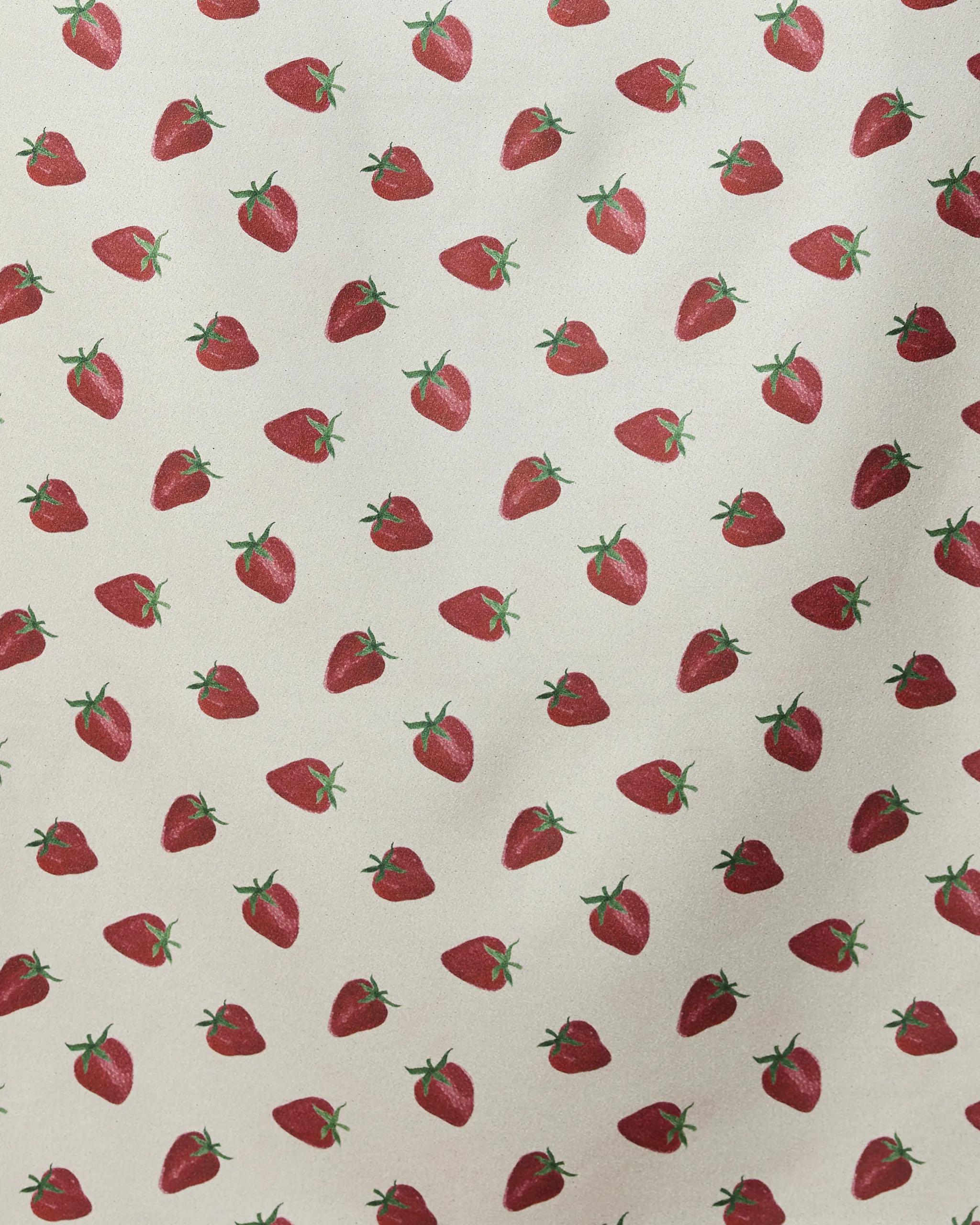 Berry Patch - Image 2