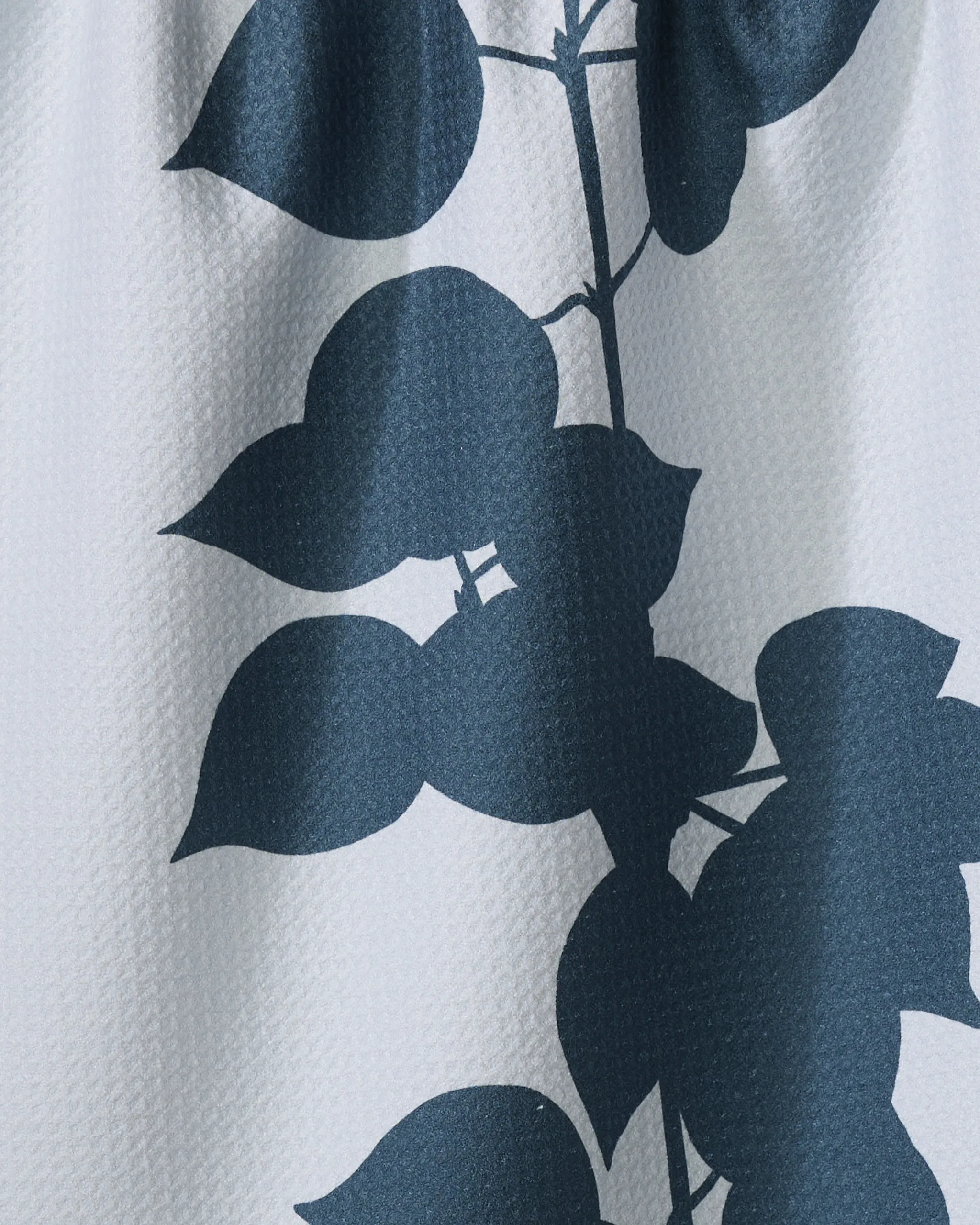 Birch - Image 2