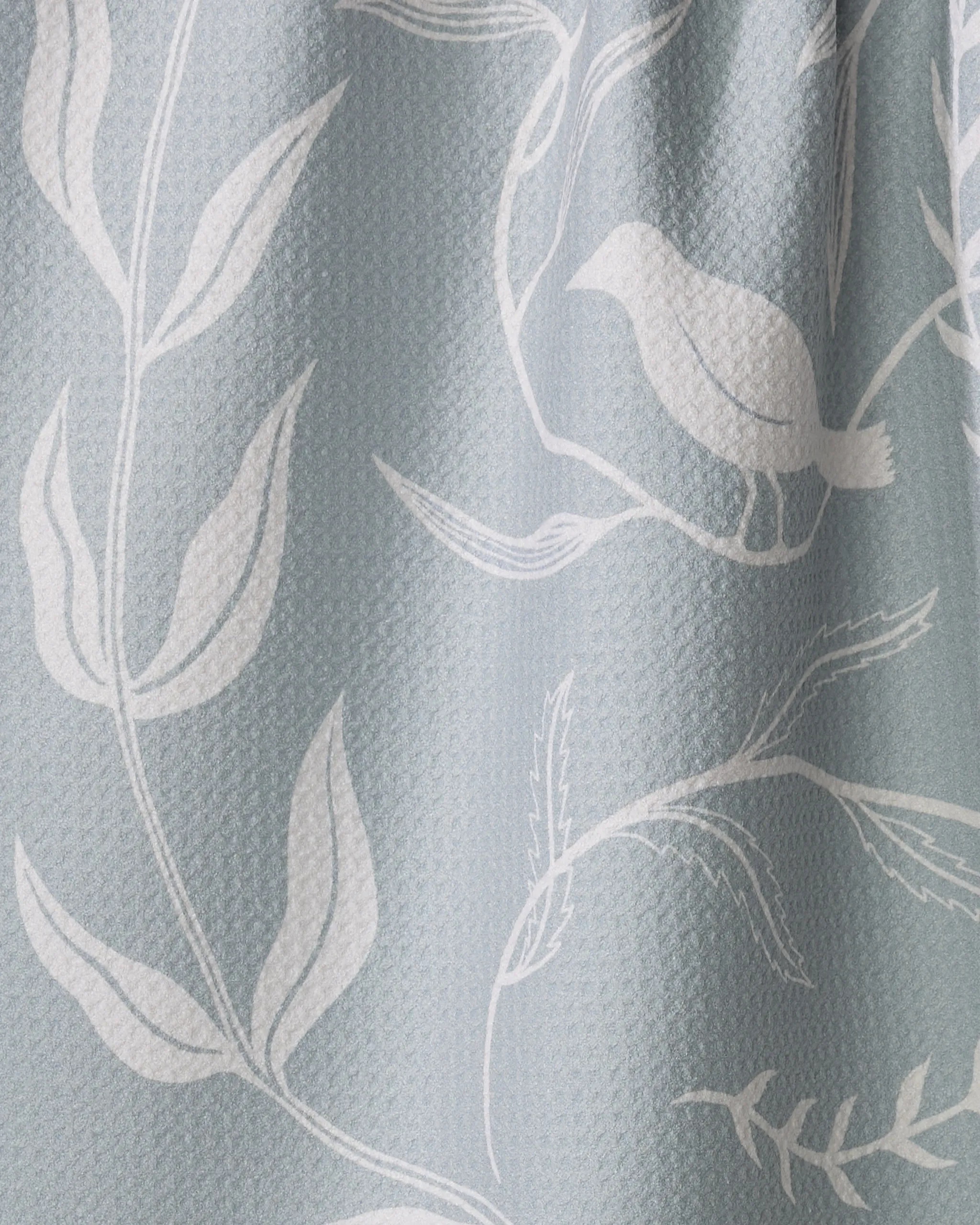 Birdsong - Image 2