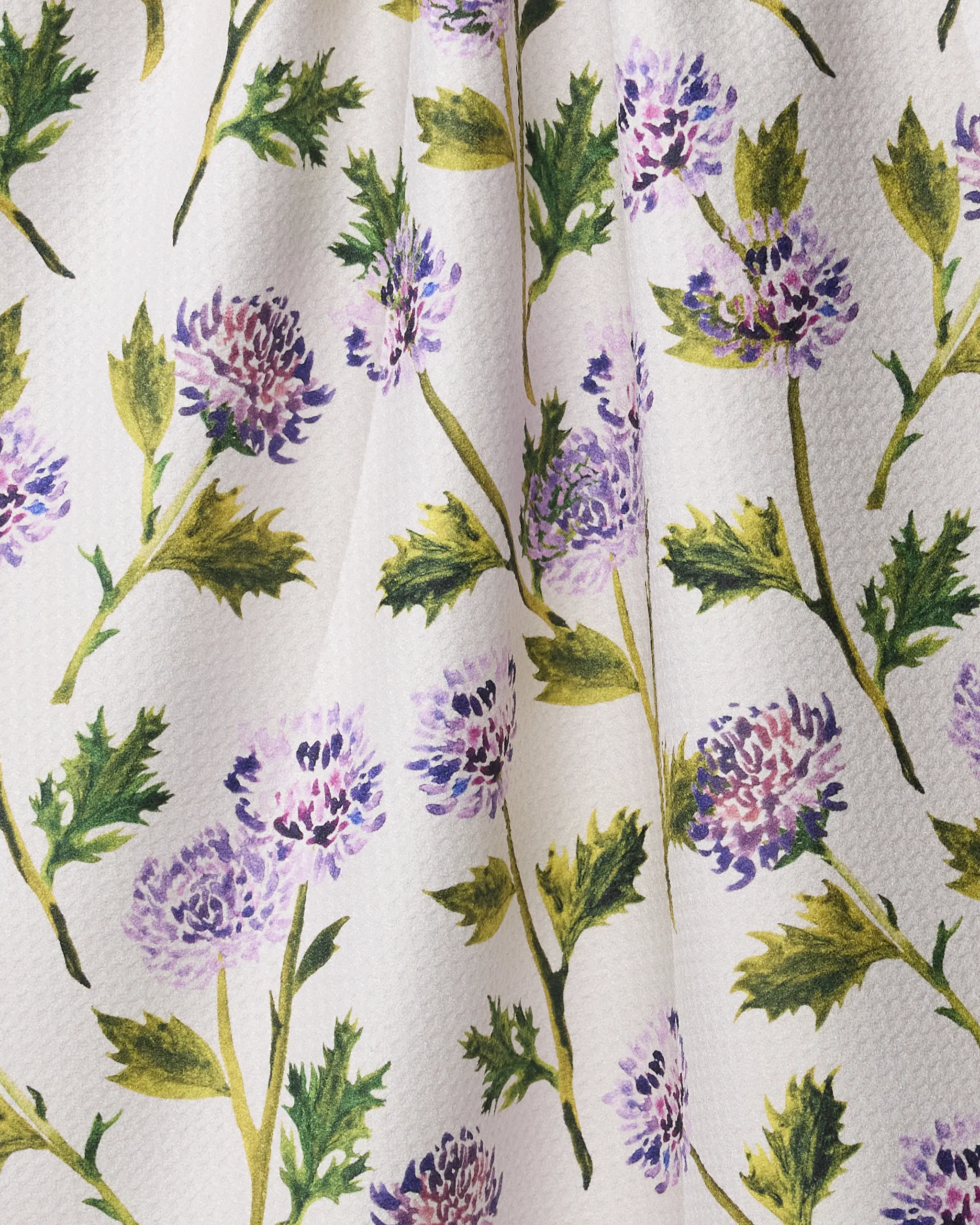 Blooming Thistle - Image 2