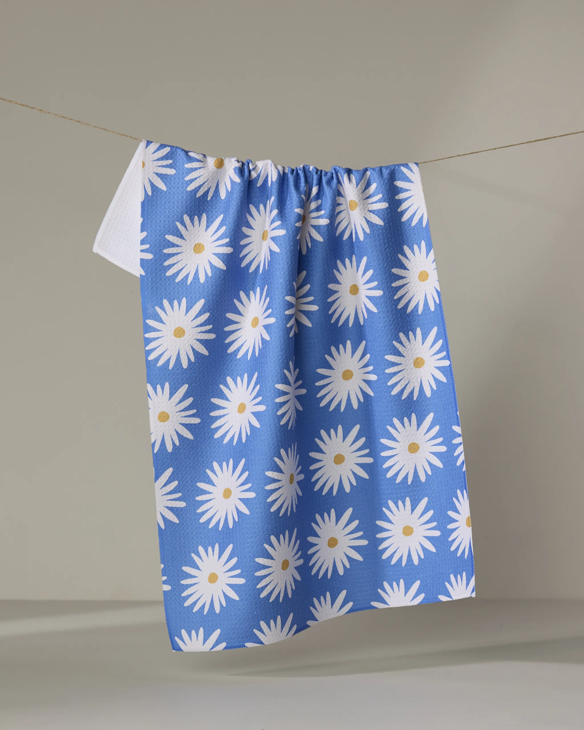 Blue Daisies