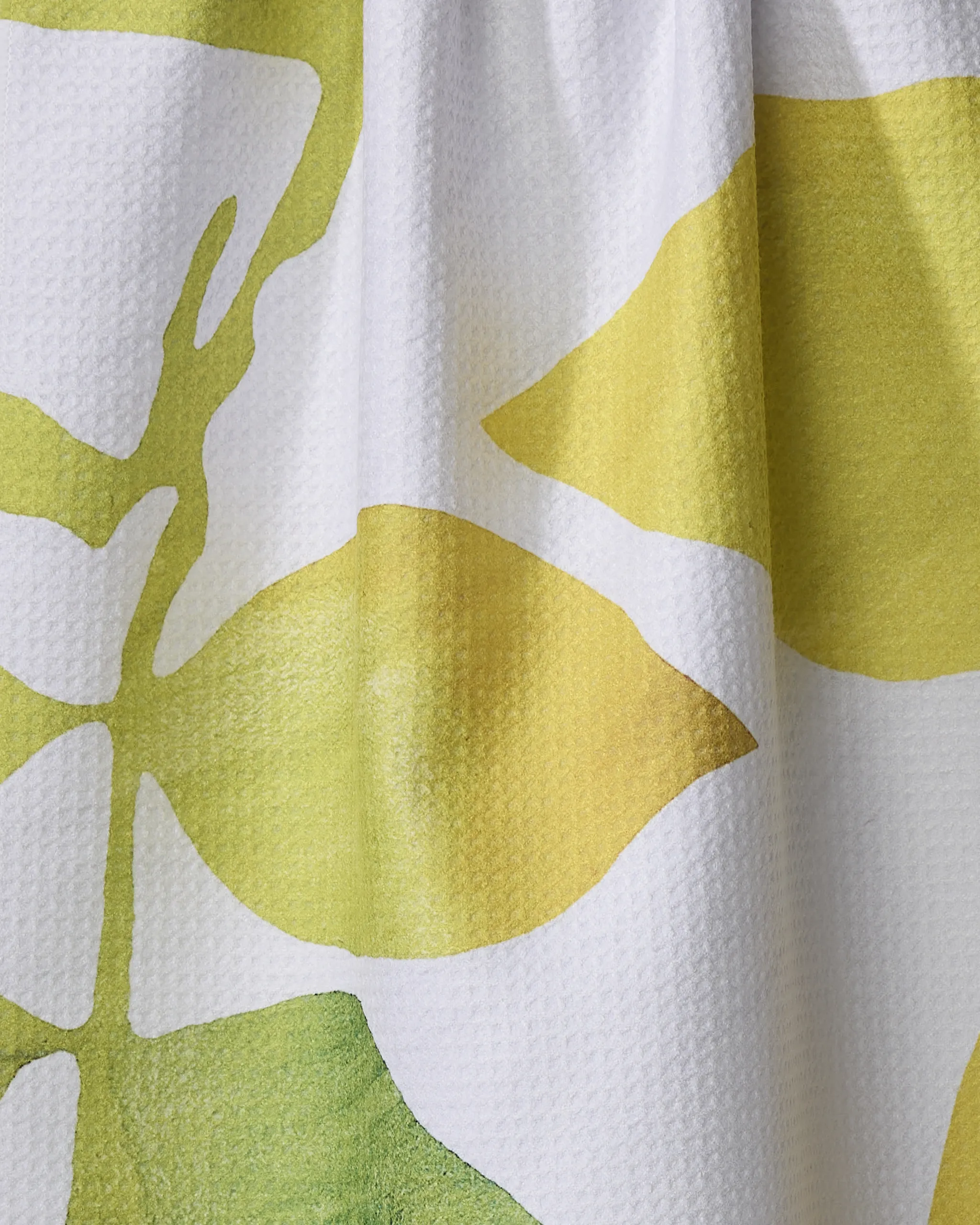 Botanical Watercolor Citrus - Image 2