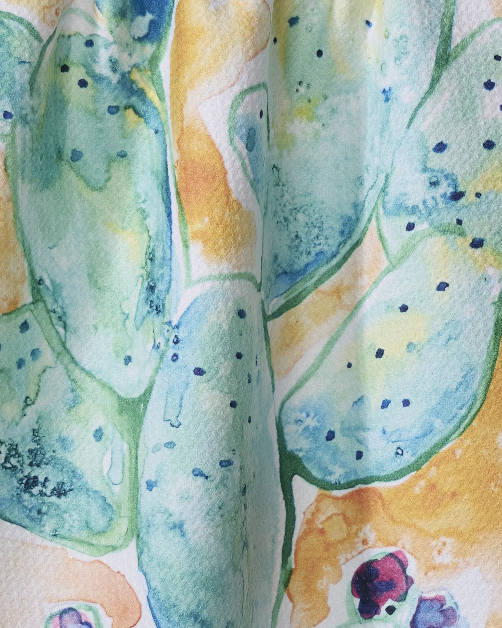 Cacti - Image 2