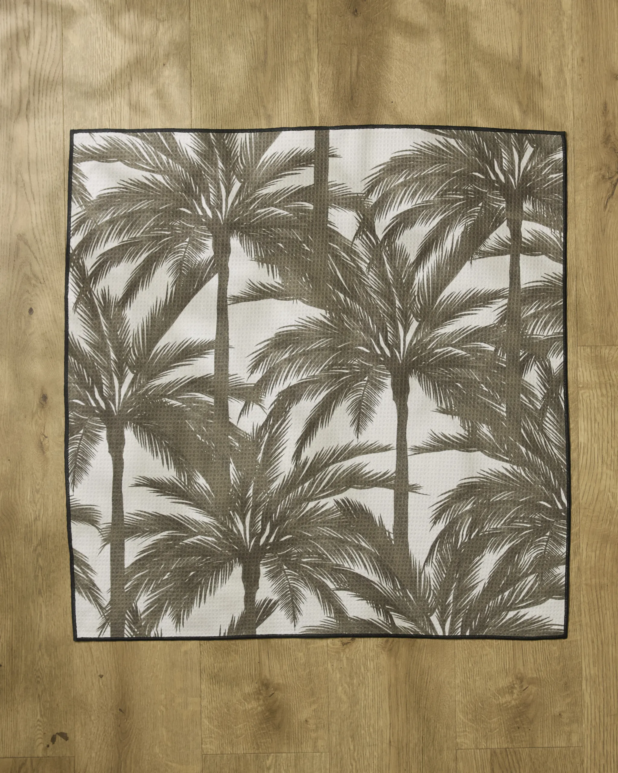 Caligo Brown - Image 2