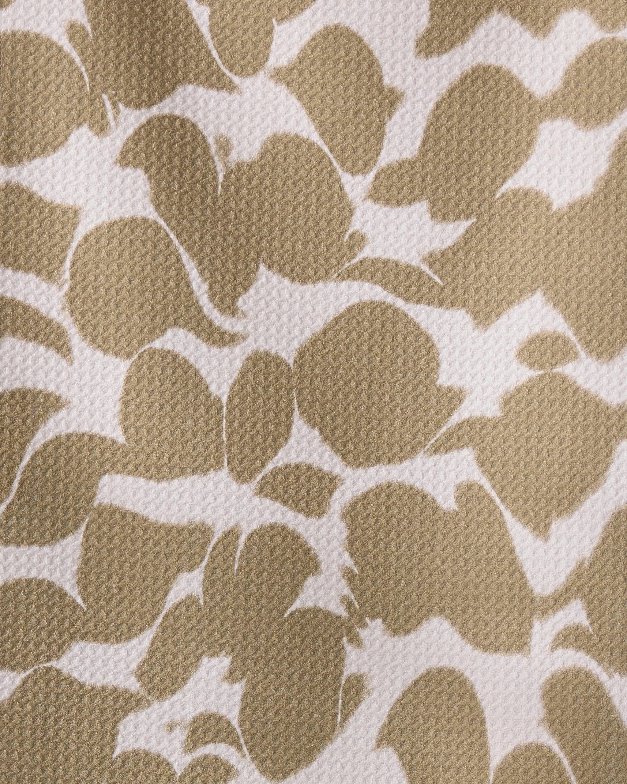 Canopy - Image 2