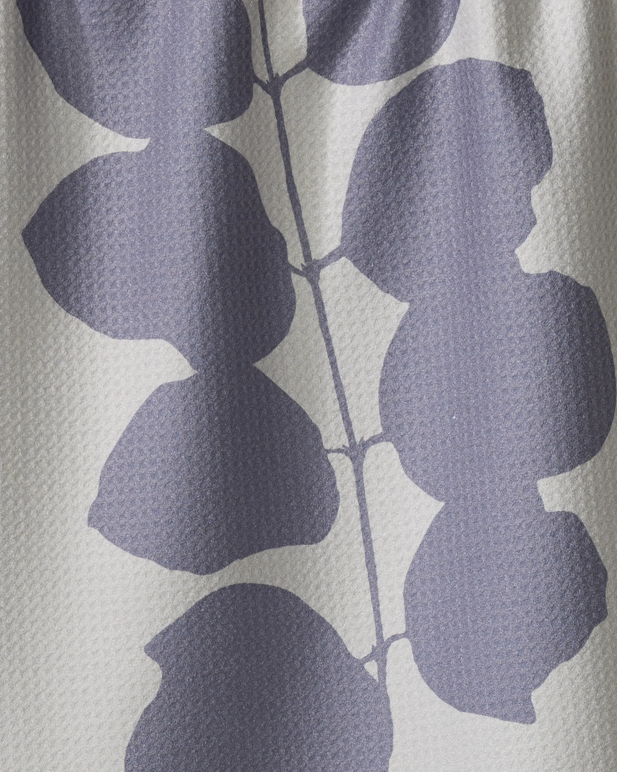 Carob - Image 2