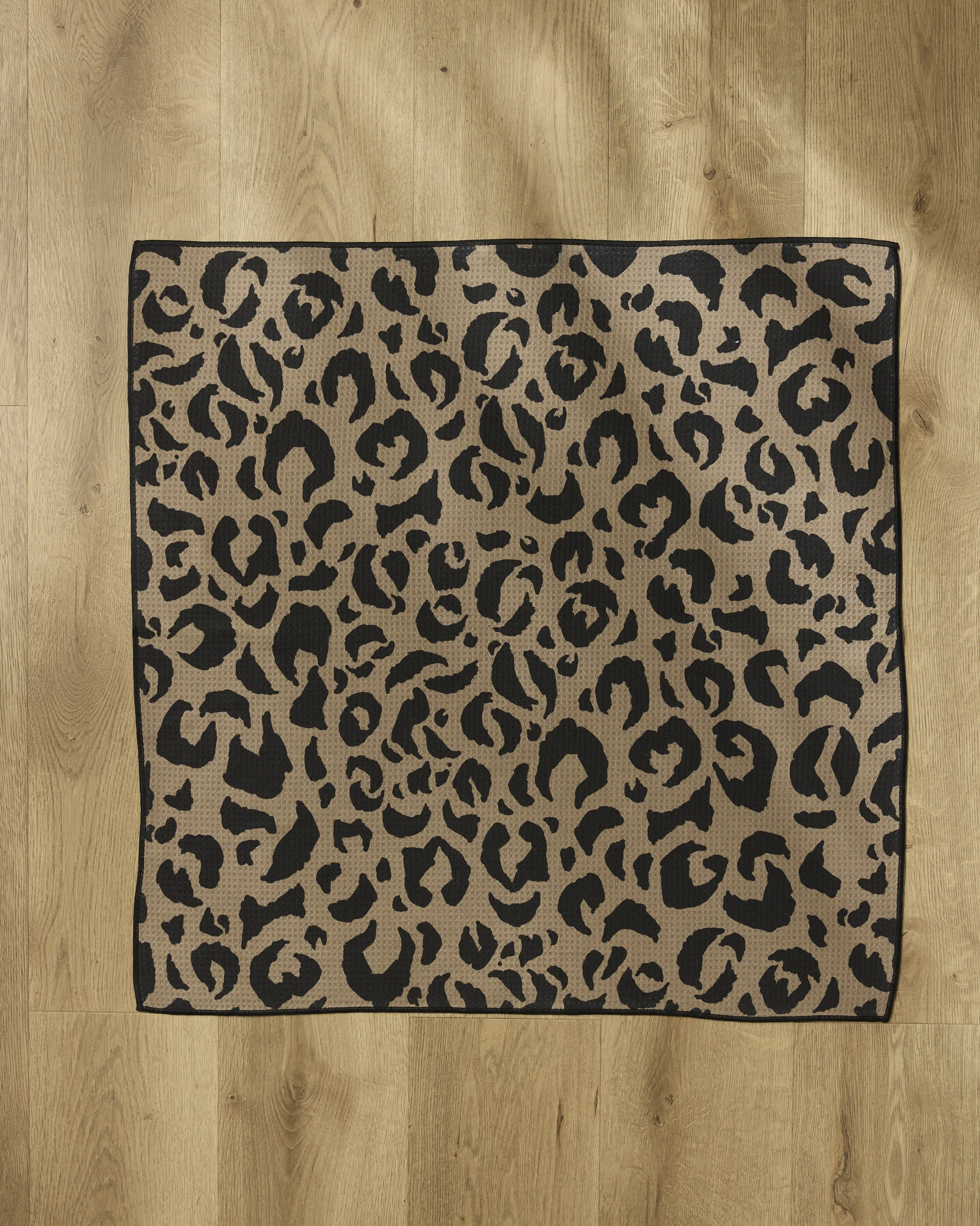 Cheetah Hound - Image 4