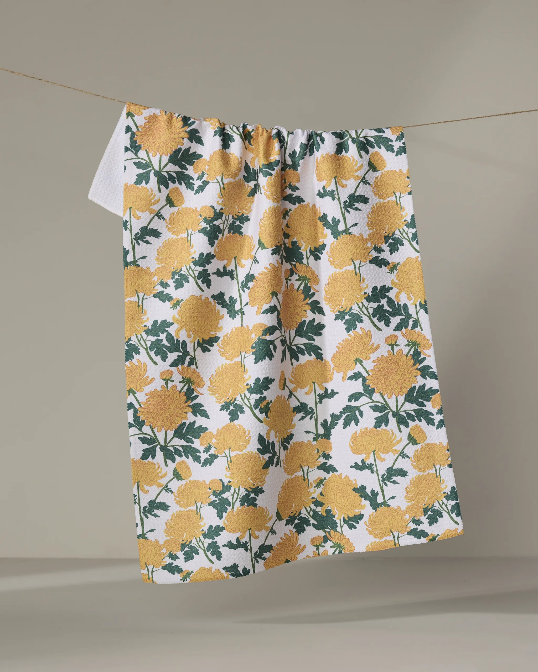 Chrysanthemum