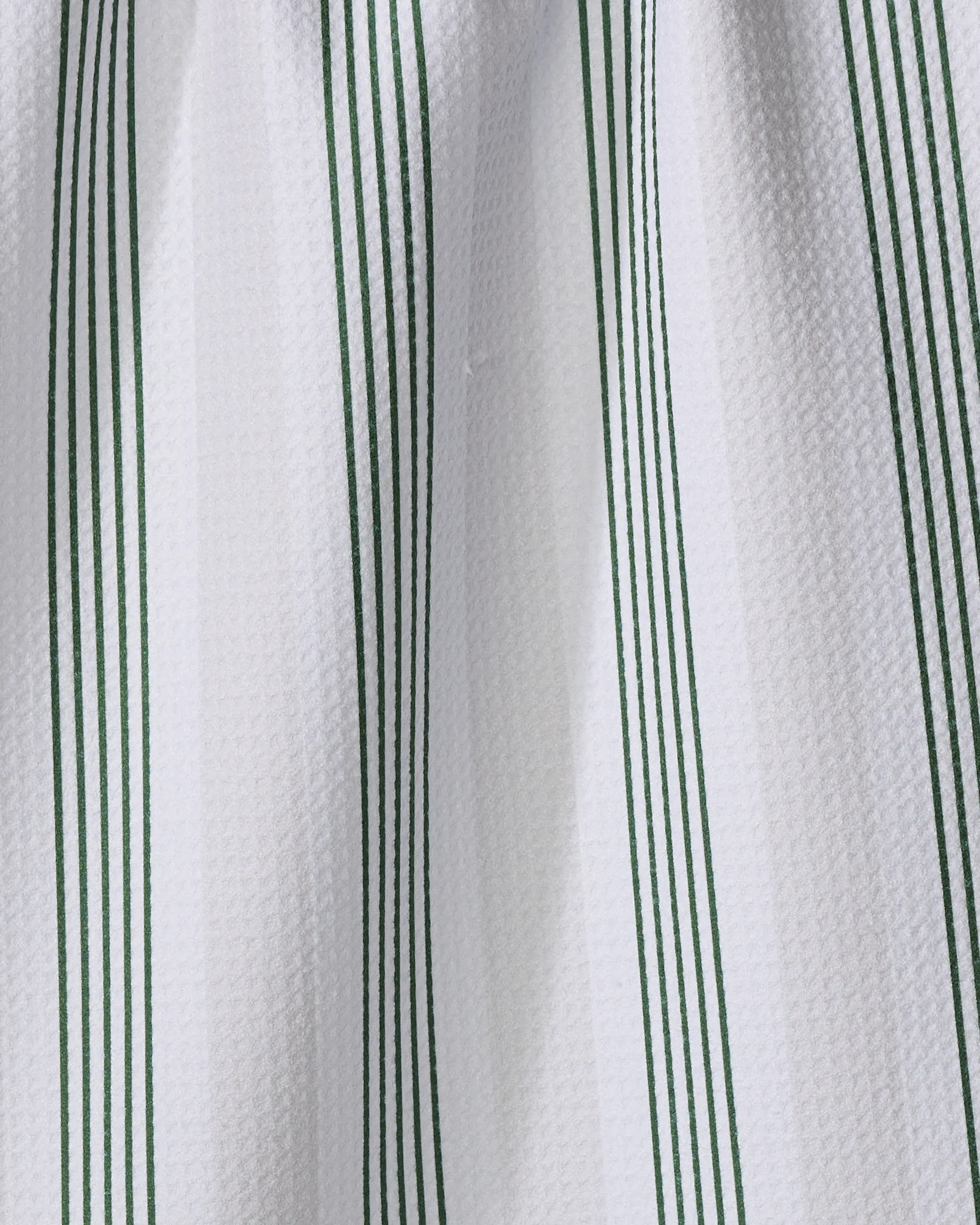 Earn Your Stripes - Evergreen - Image 2