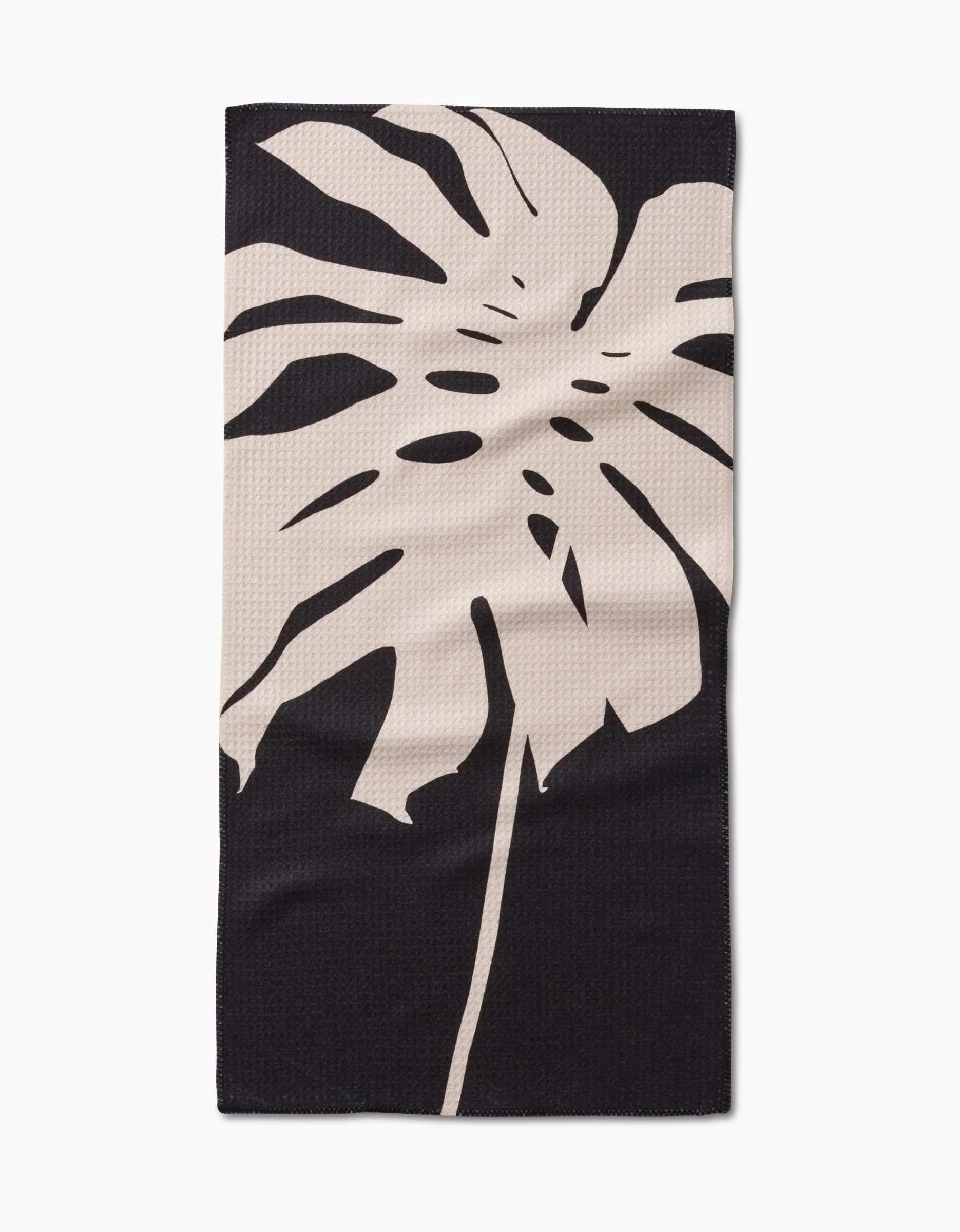 Cream Monstera