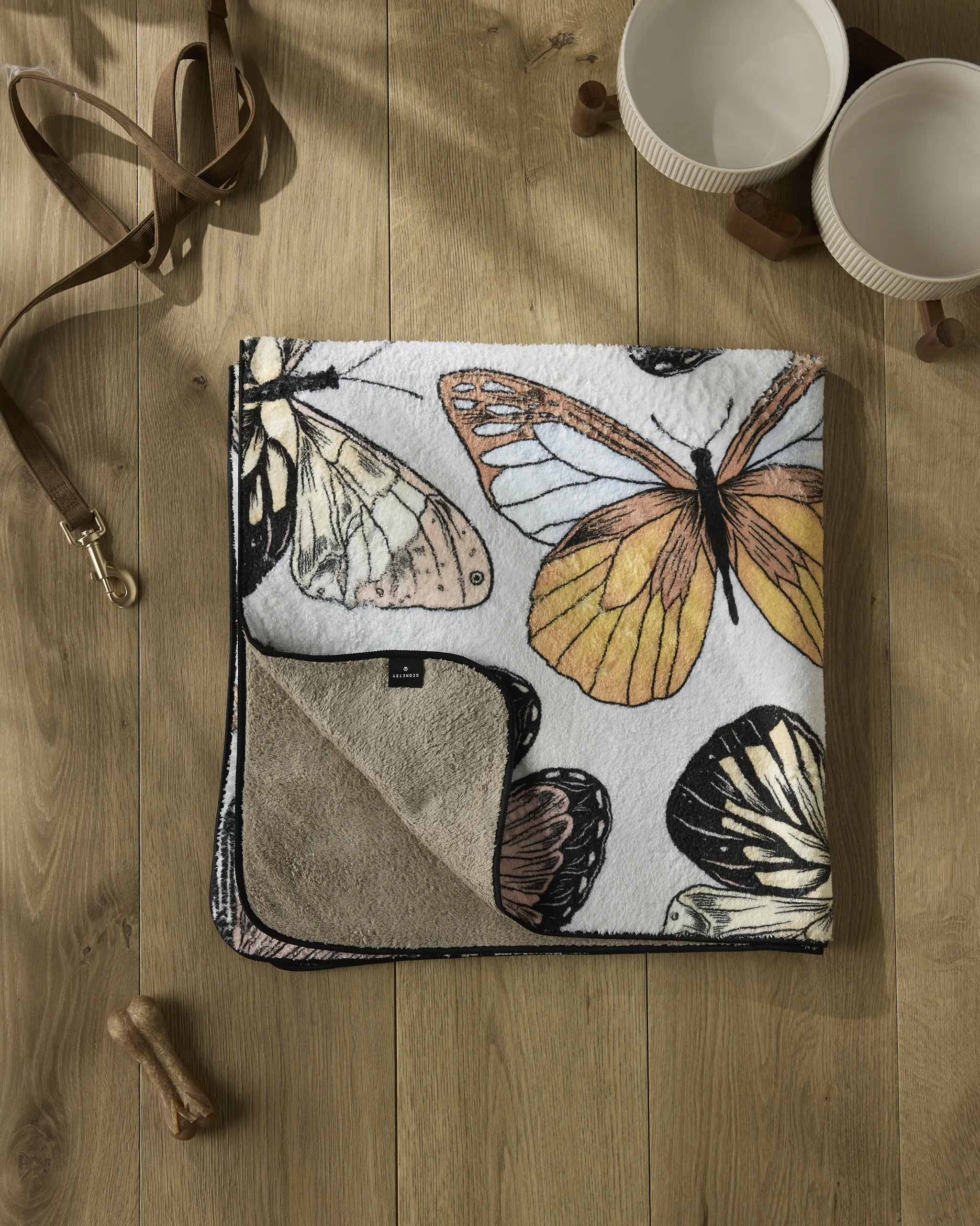 Cute Butterflies