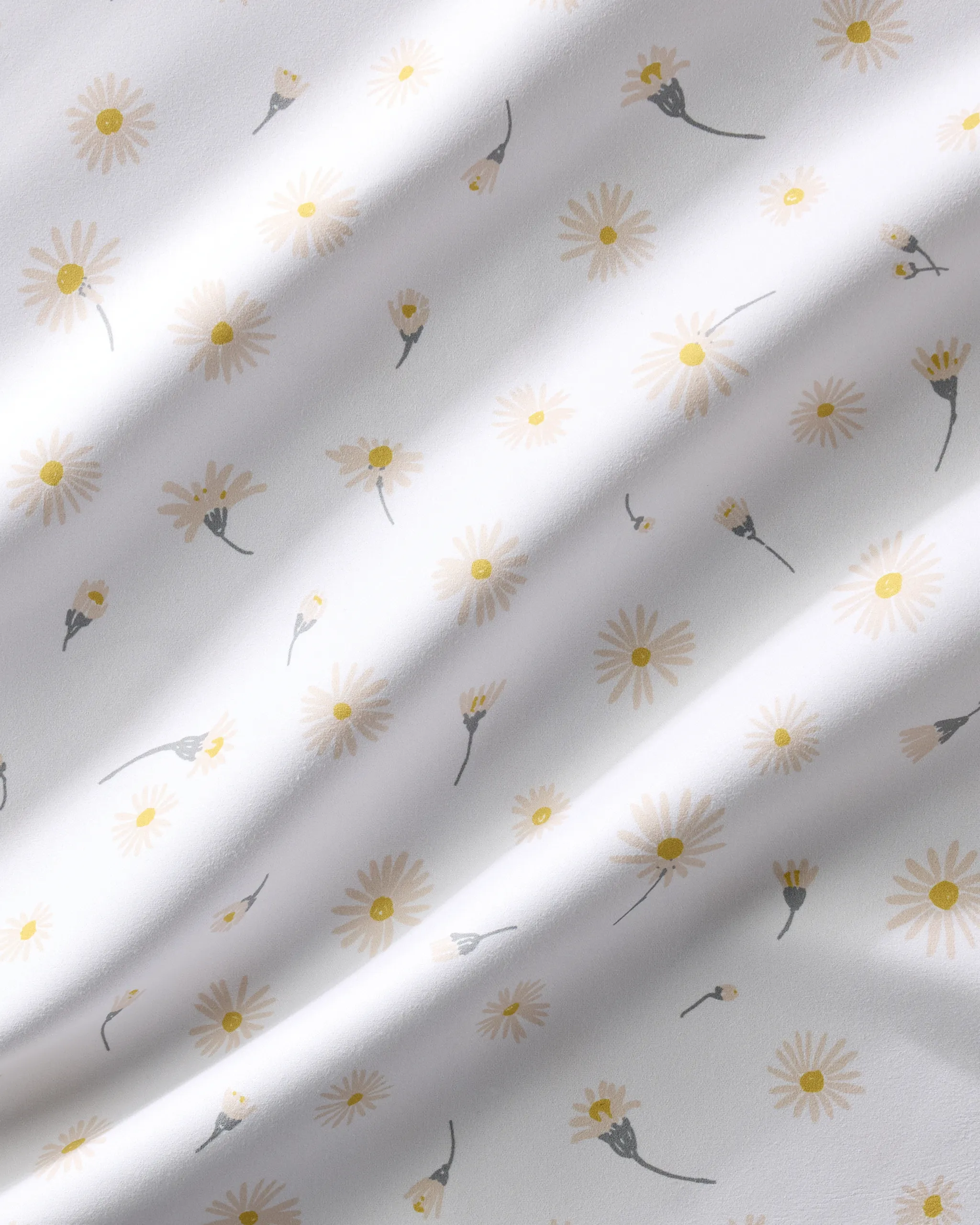 Daisy Dust - Image 3