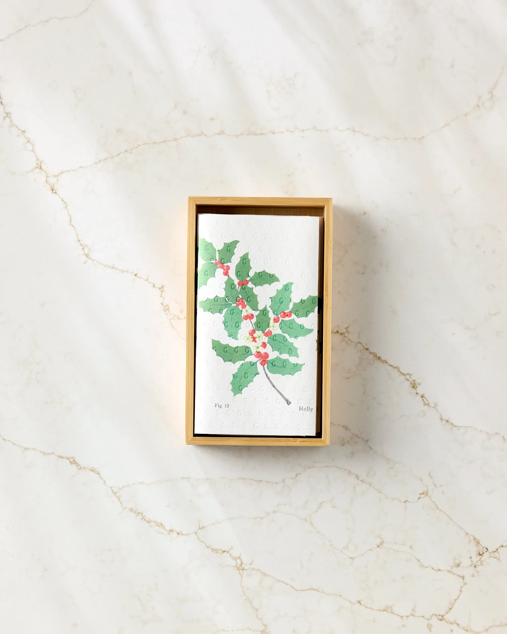 December Holly - Image 3