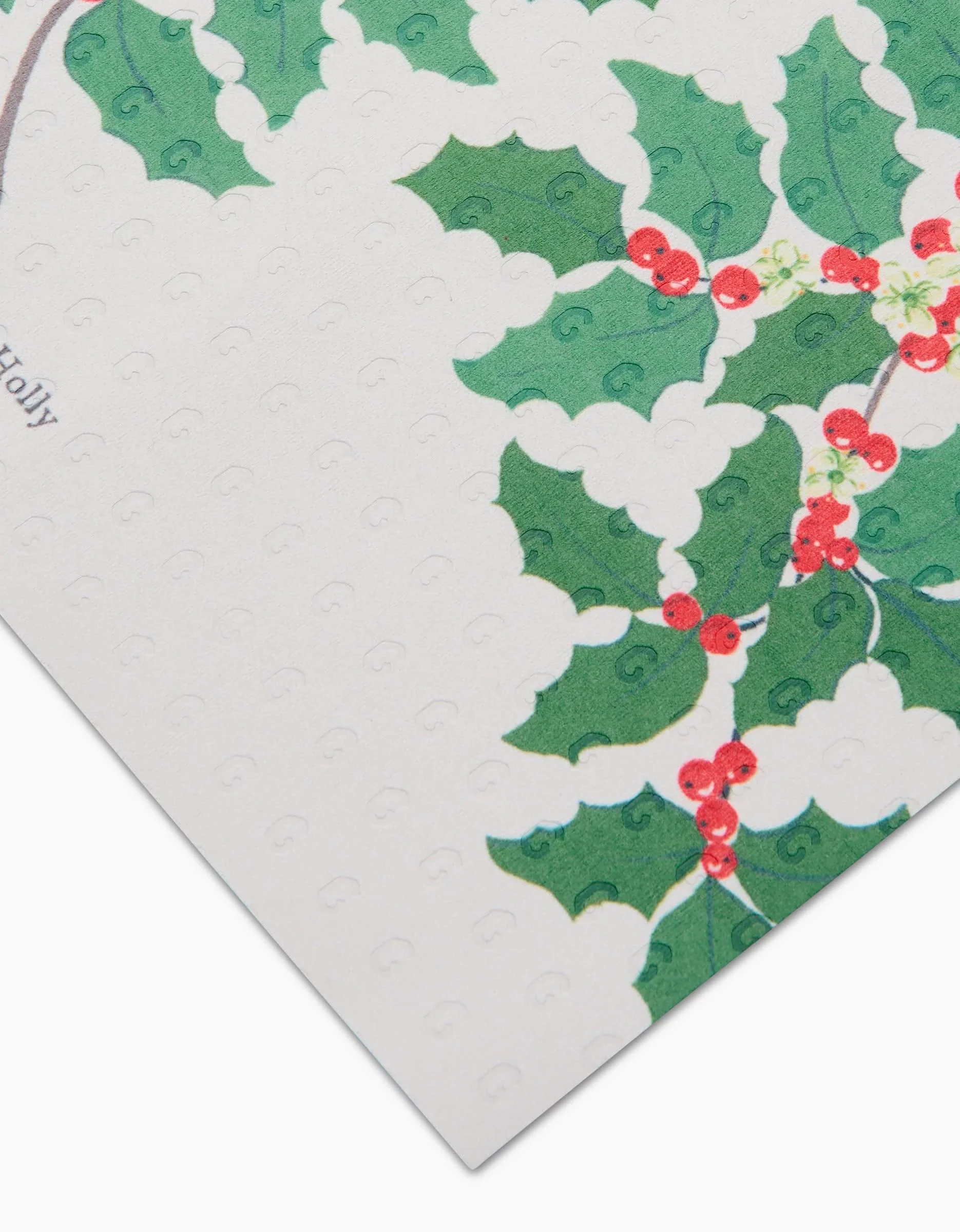 December Holly - Image 4