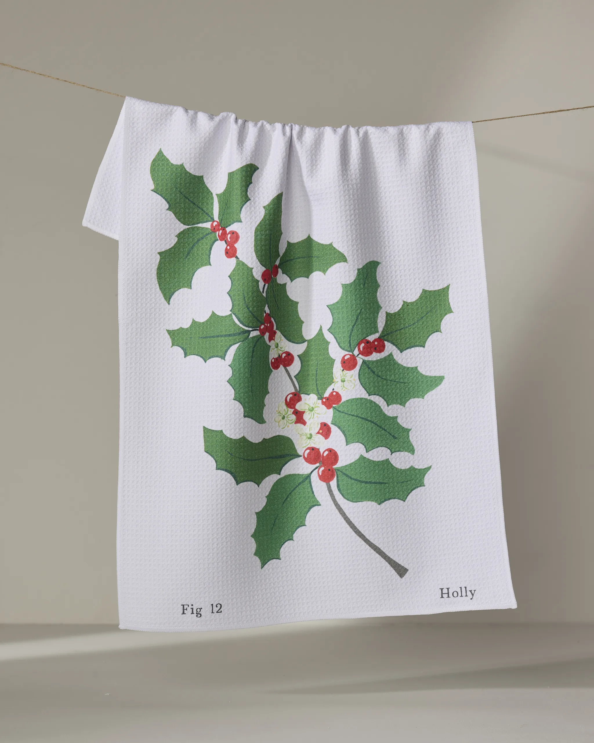 December Holly