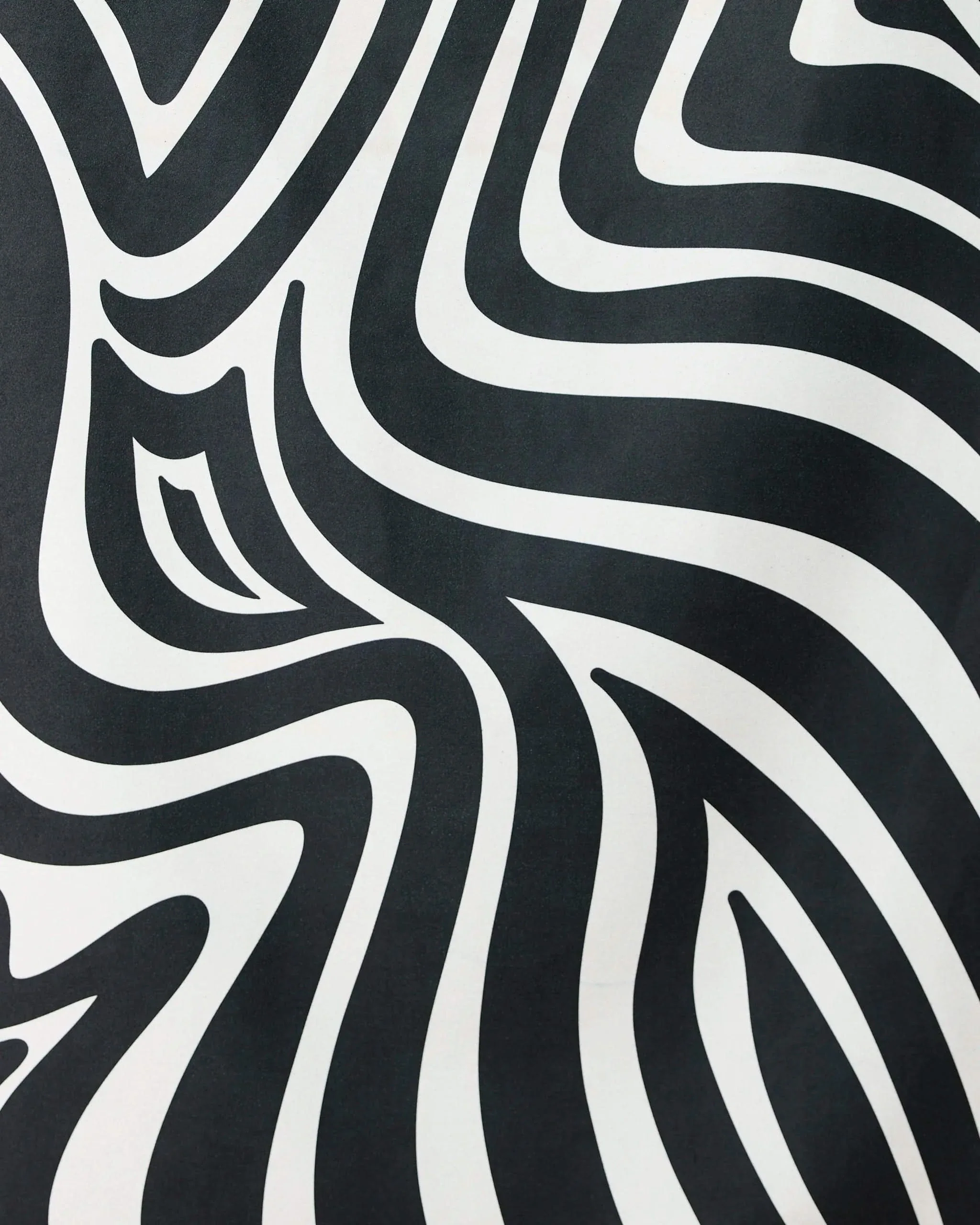 Dizzy Black - Image 2