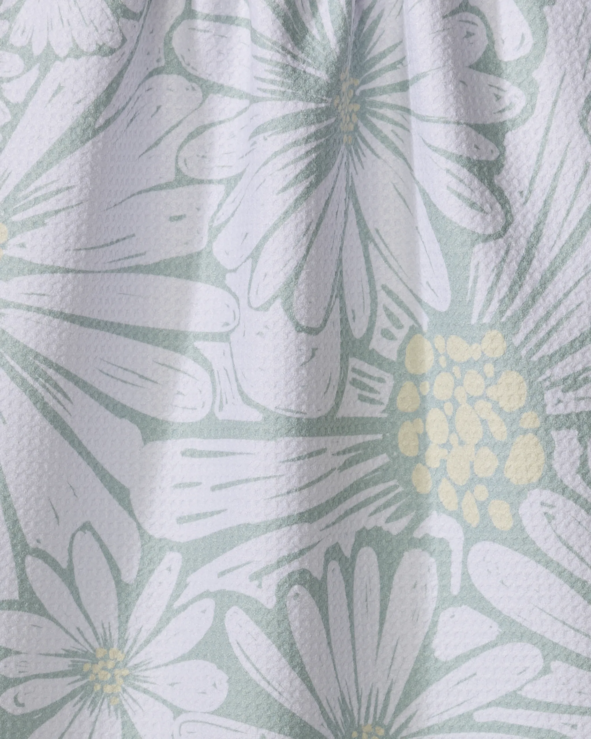 English Daisies - Image 2