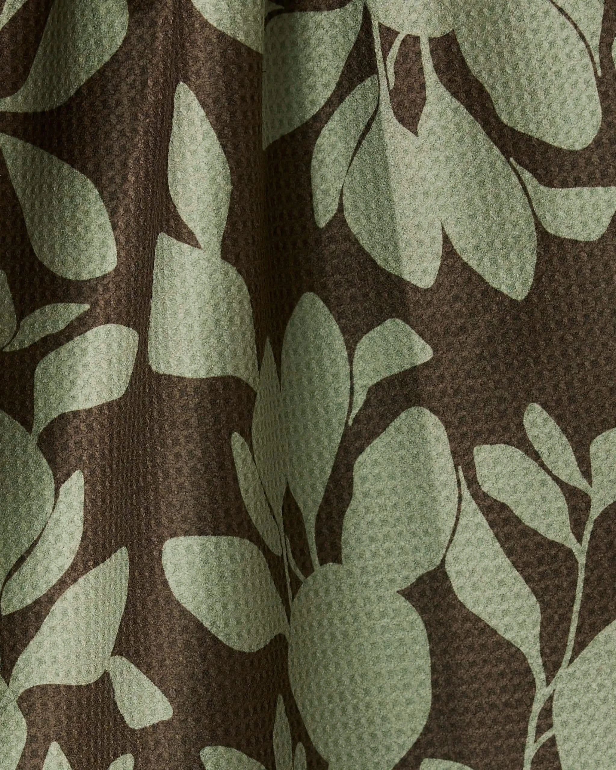Eucalyptus - Image 3