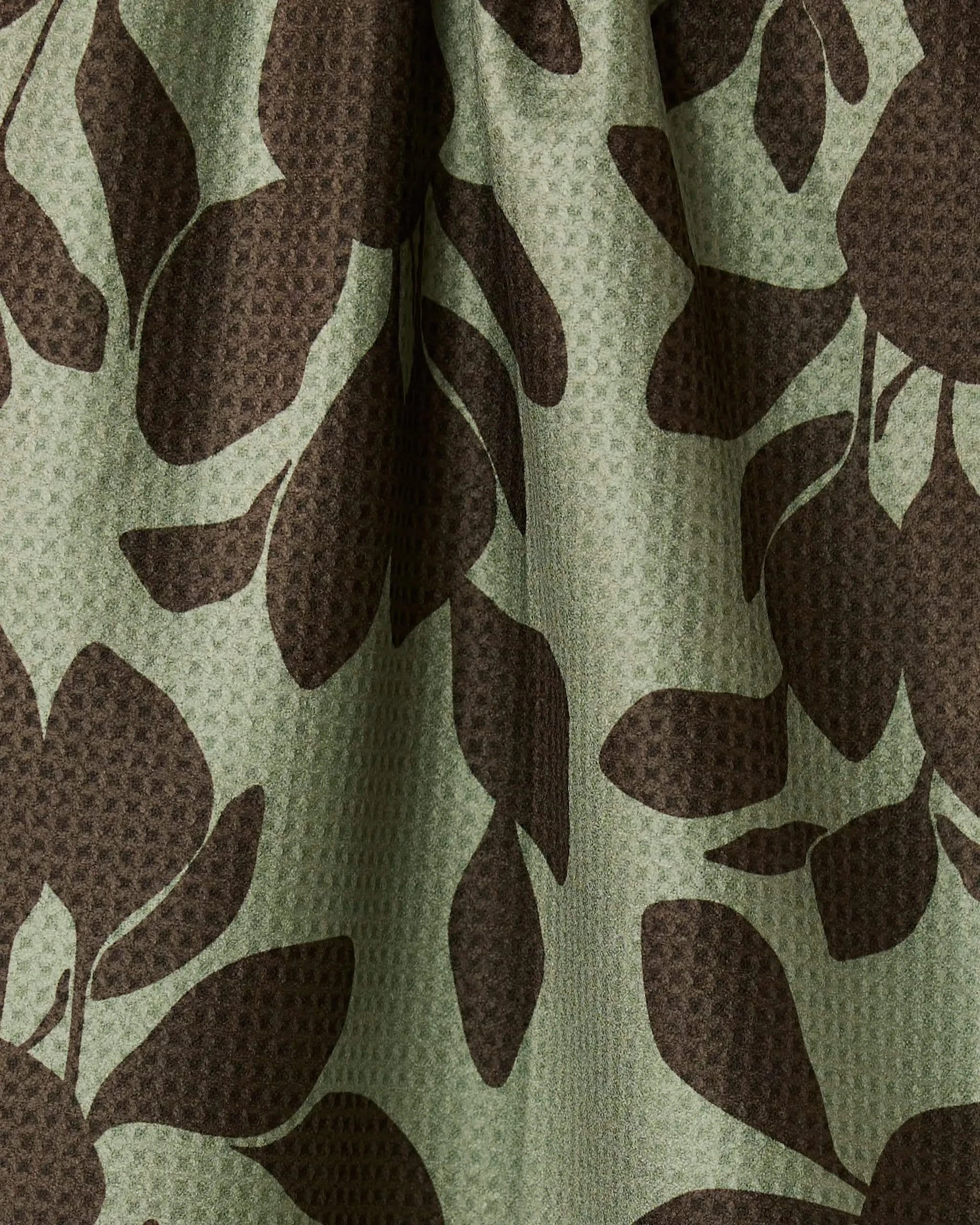 Eucalyptus - Image 4