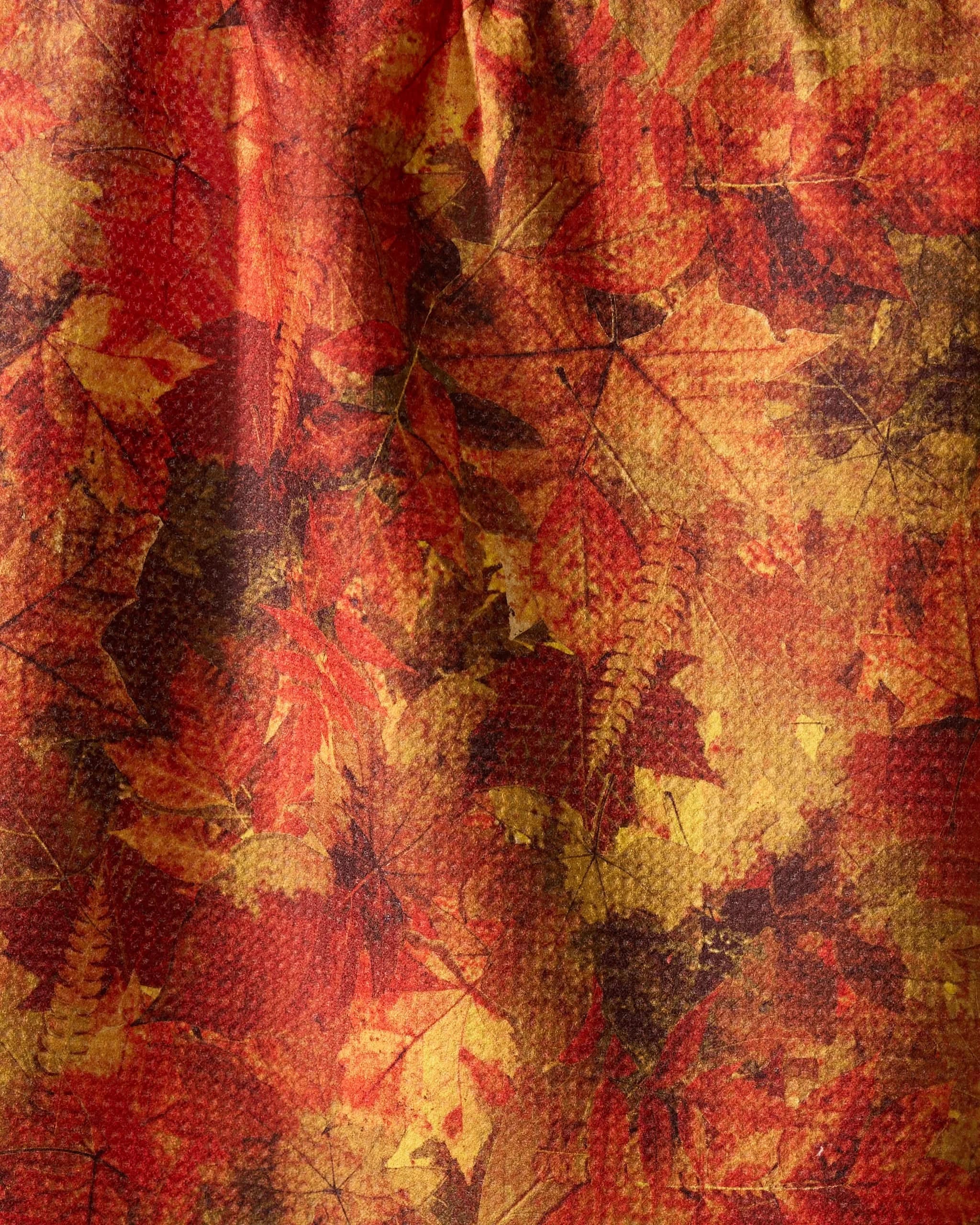 Falling Foliage - Image 2