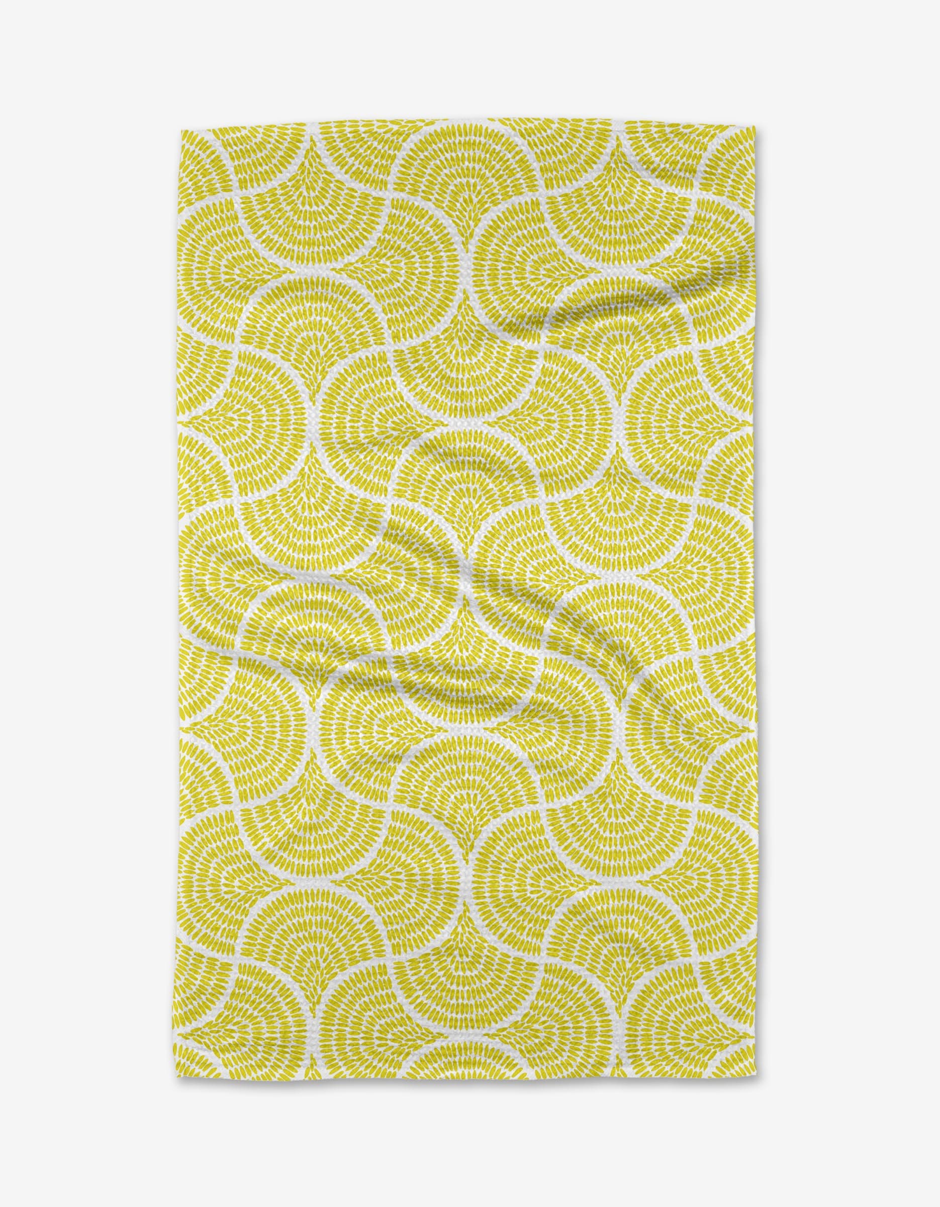 Ferns - Image 3