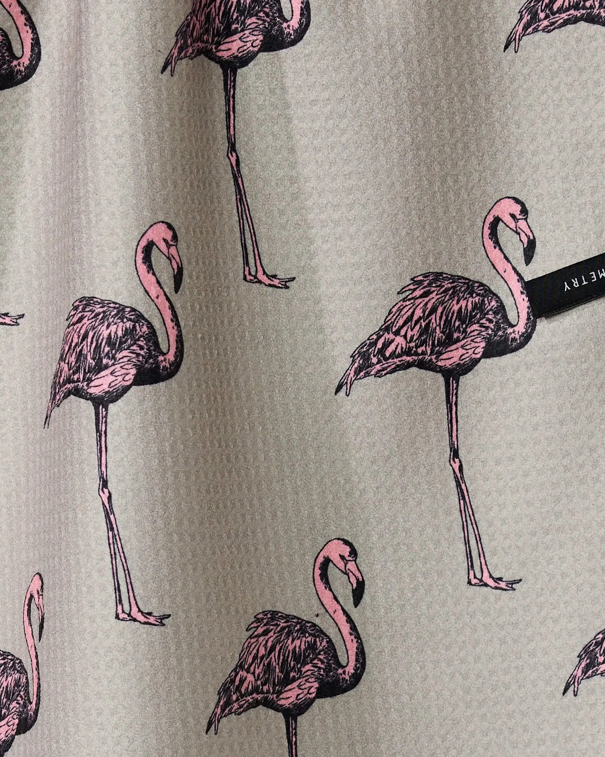 Flamingo Dance - Image 3