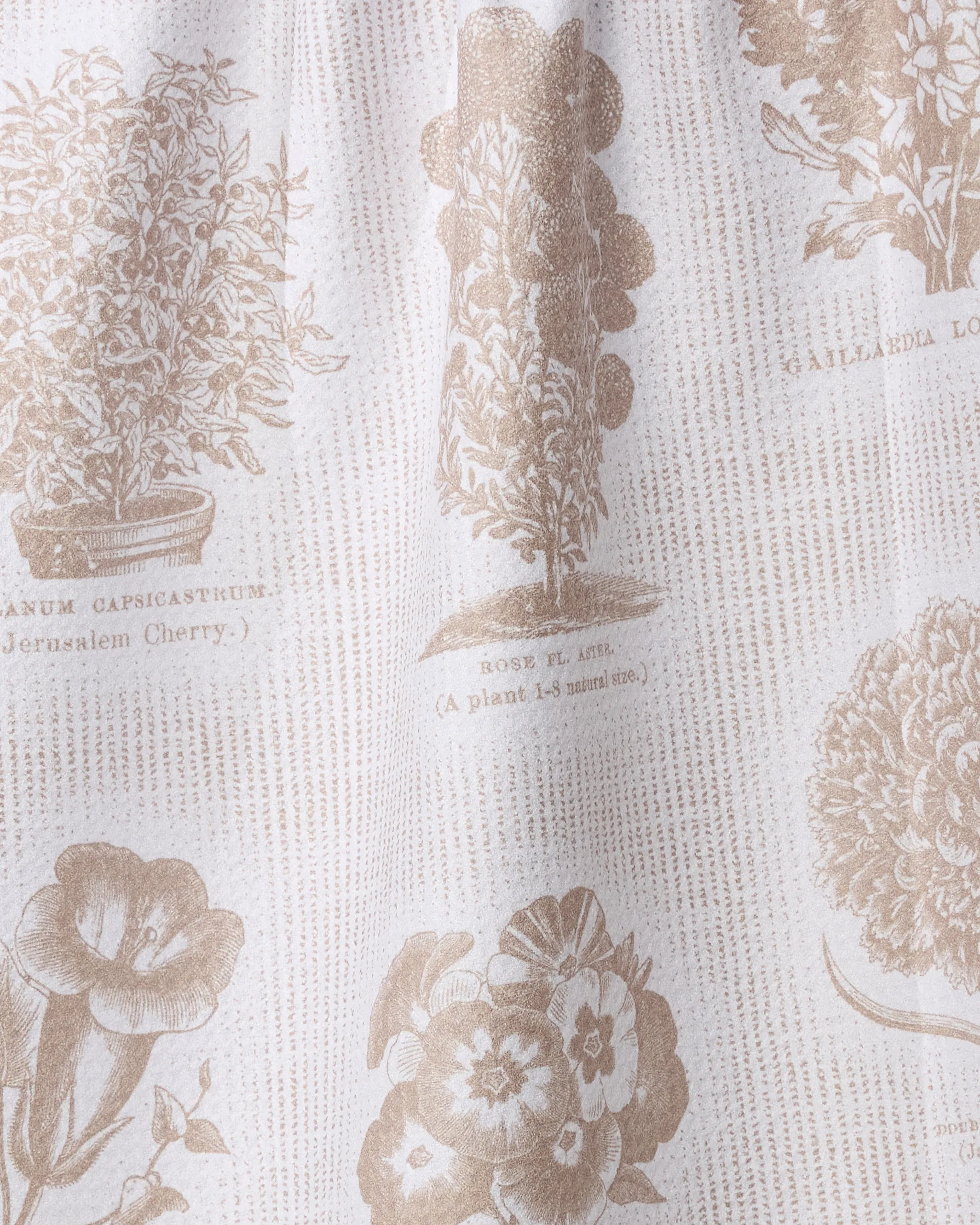 Floral Glossary - Image 2
