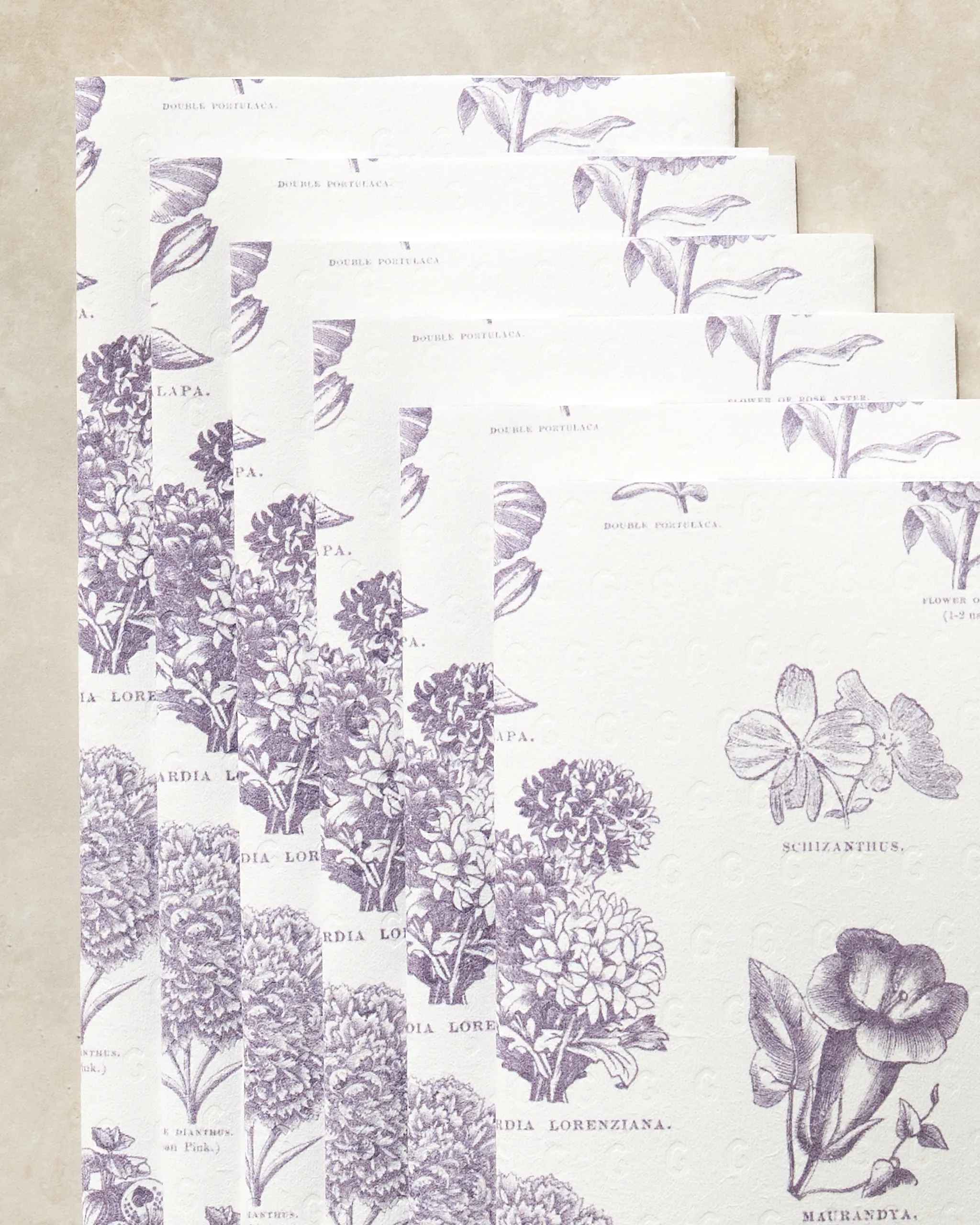 Flower Glossary - Image 2
