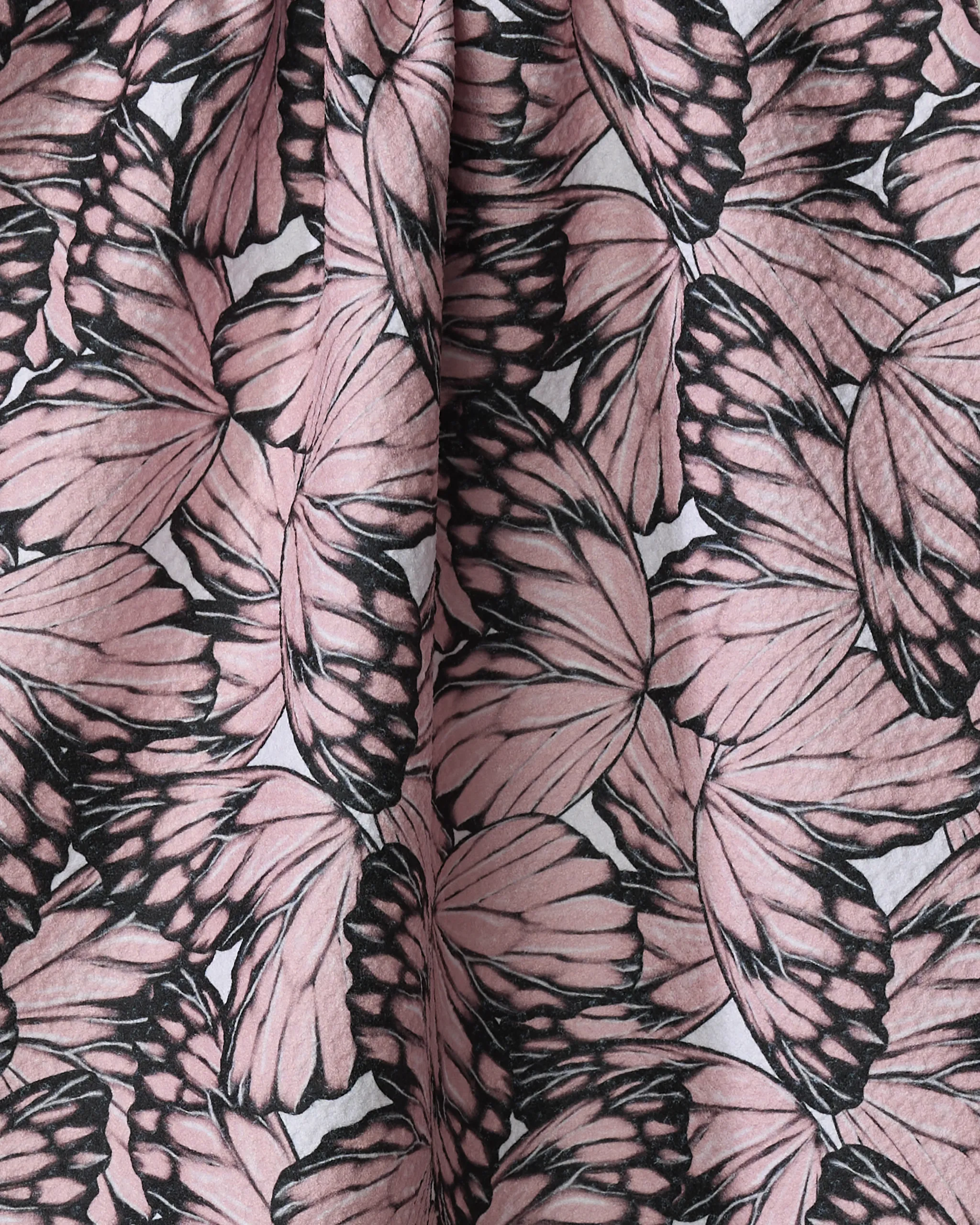 Flutter by Butterfly - Image 2