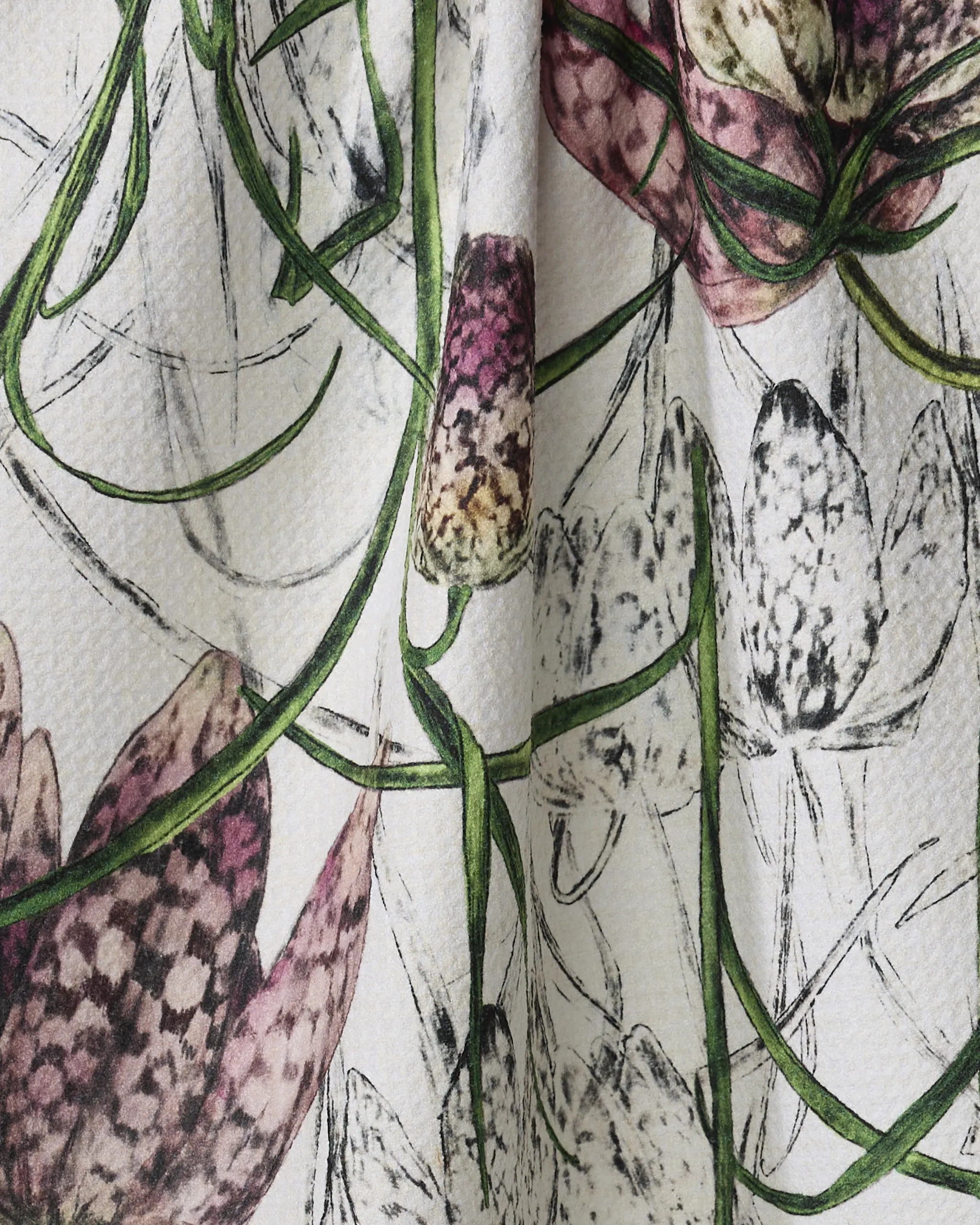 Fritillaria - Image 2