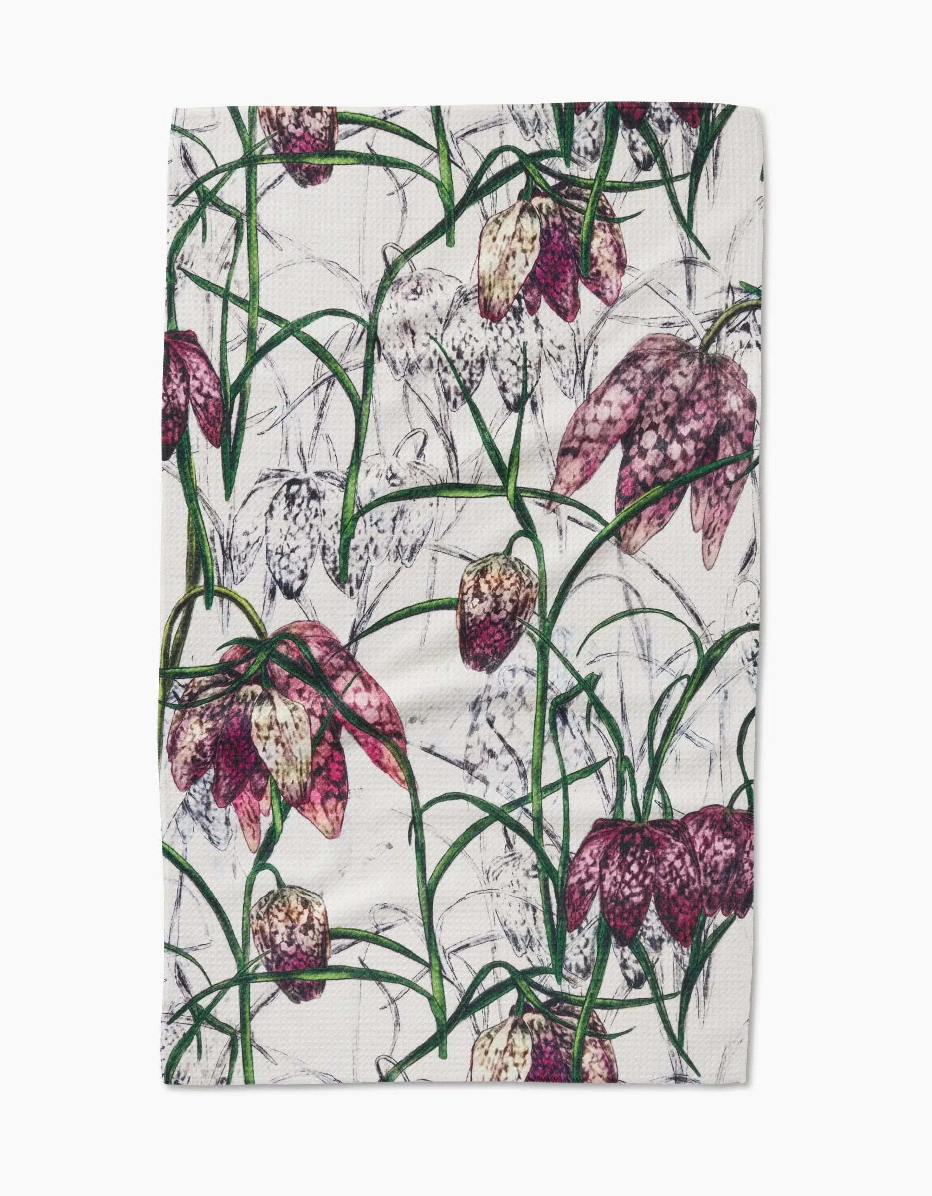 Fritillaria - Image 3