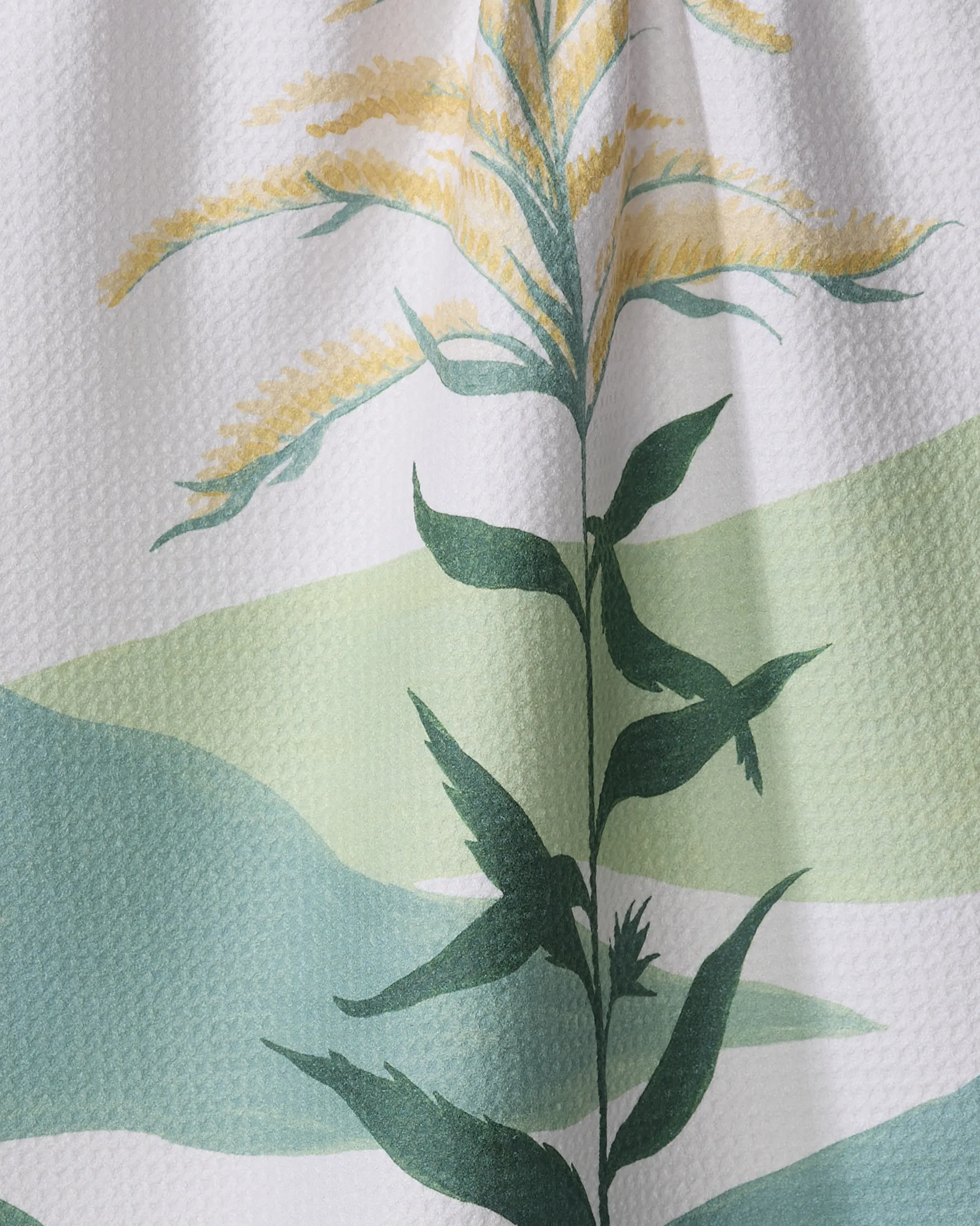 Goldenrod - Image 2