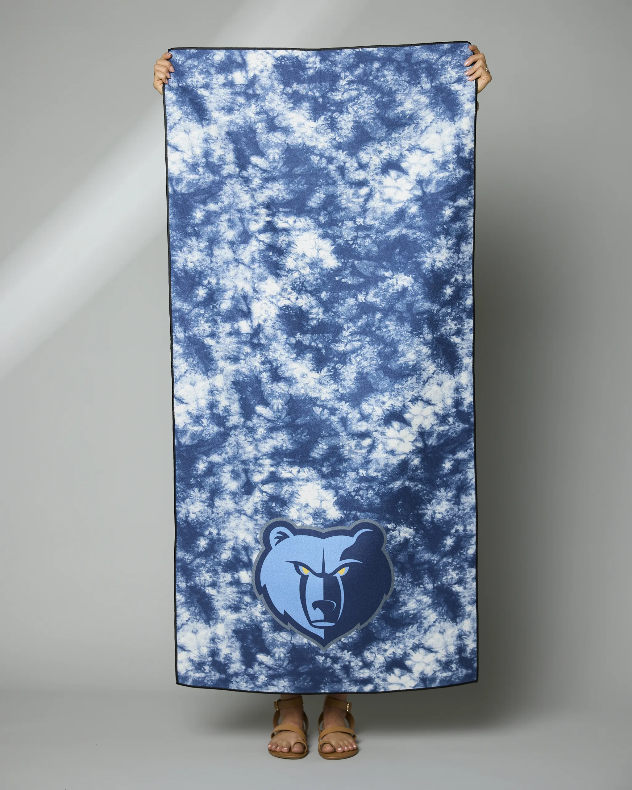 Grizzlies Flash
