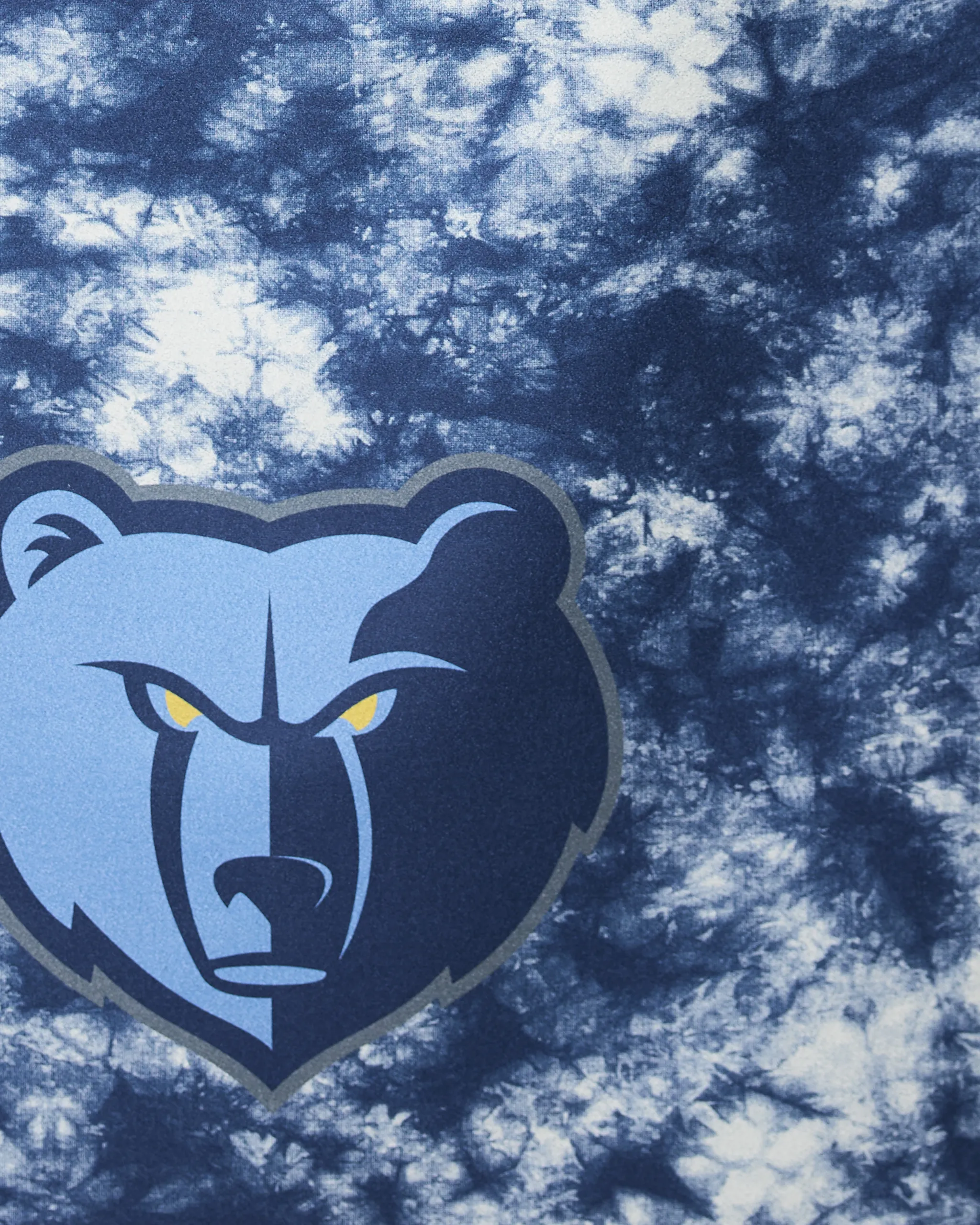 Grizzlies Flash - Image 2