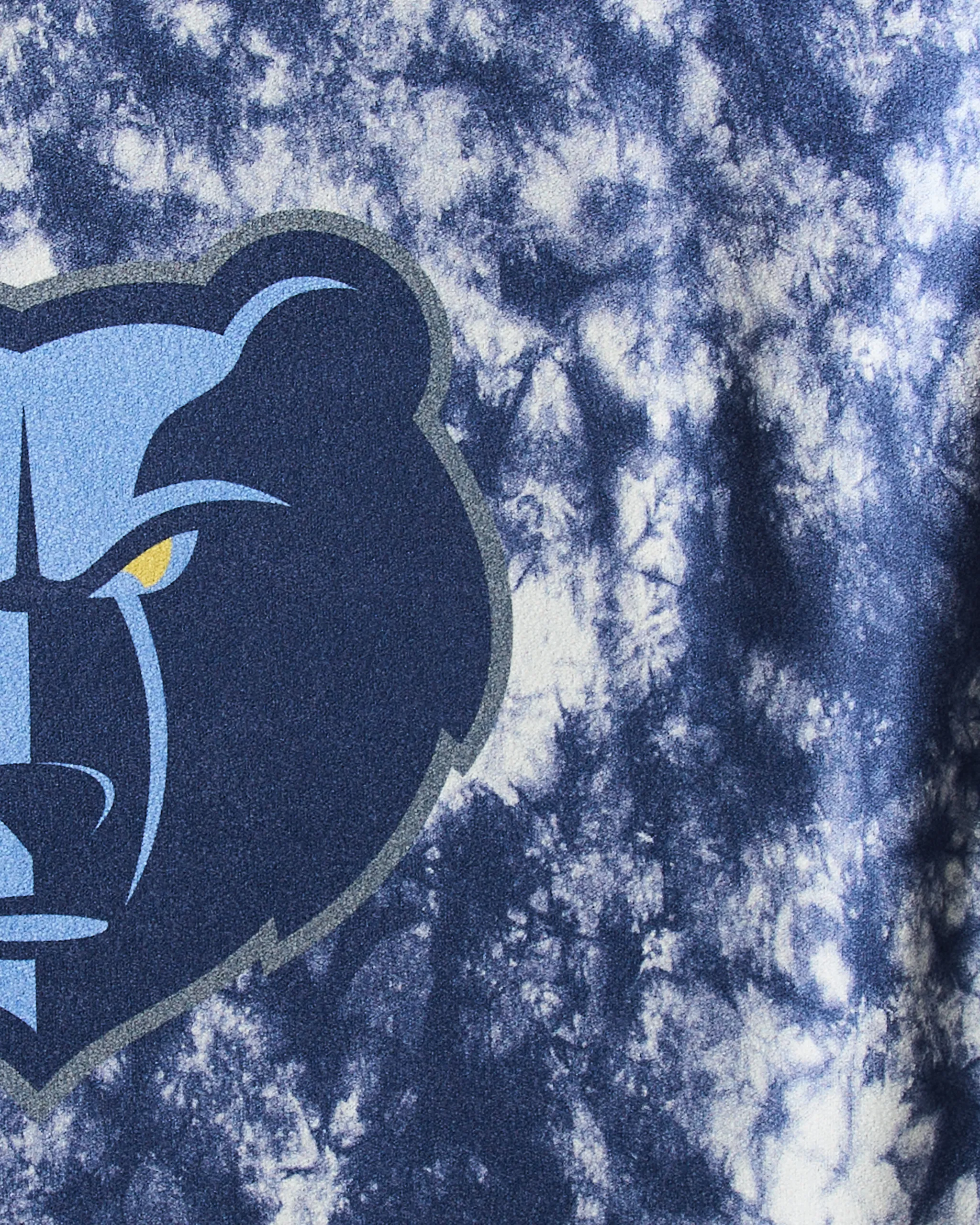 Grizzlies Flash - Image 2