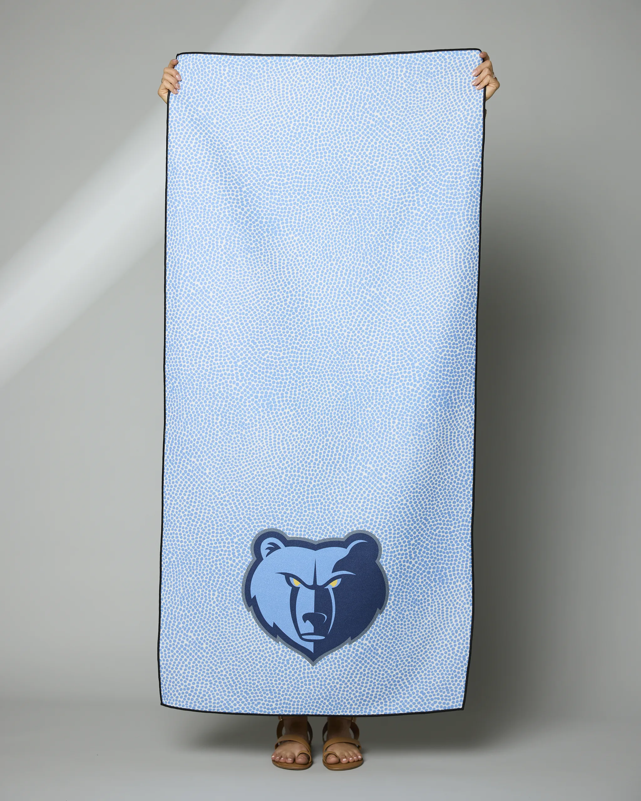 Grizzlies Grip