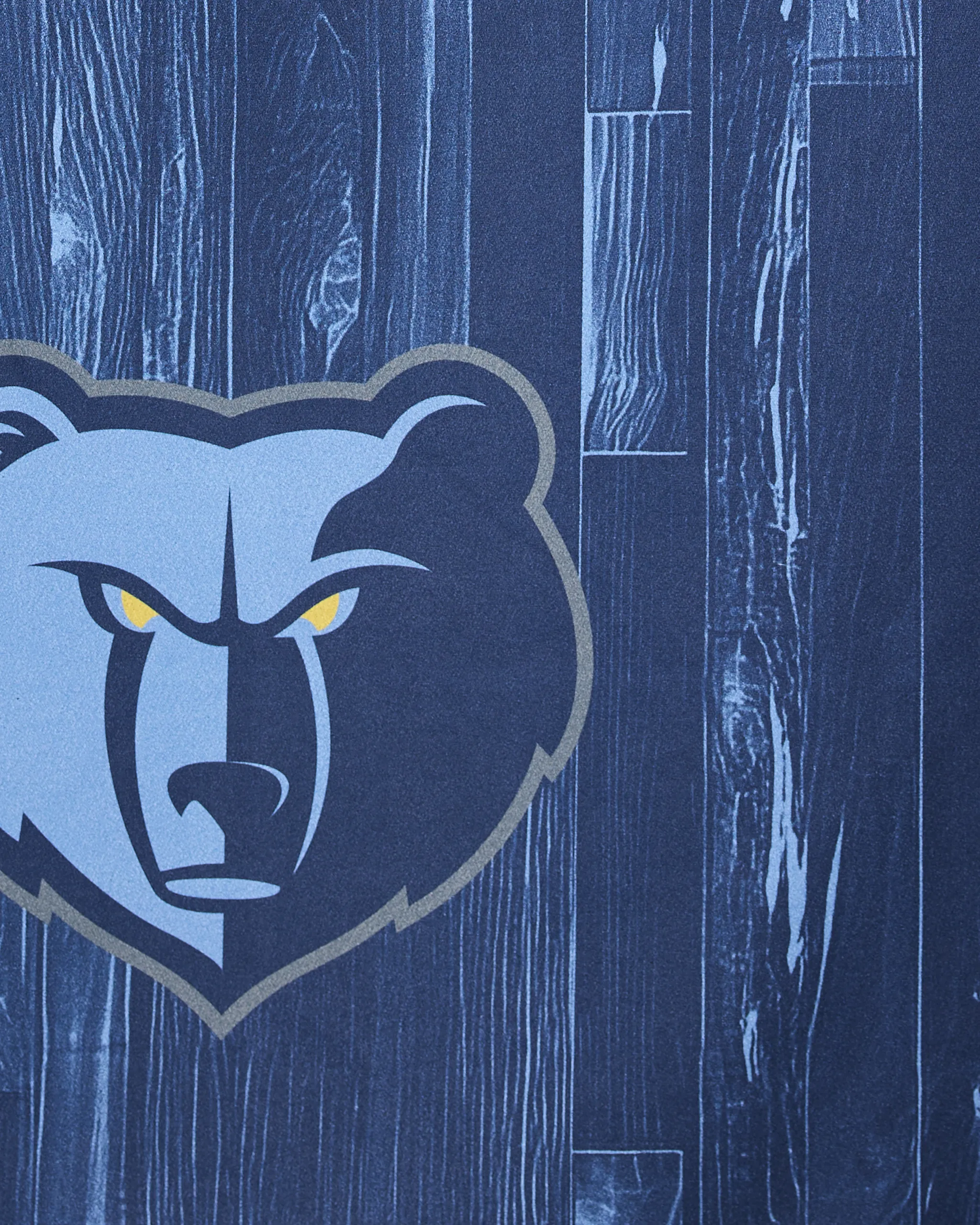 Grizzlies Zone - Image 2