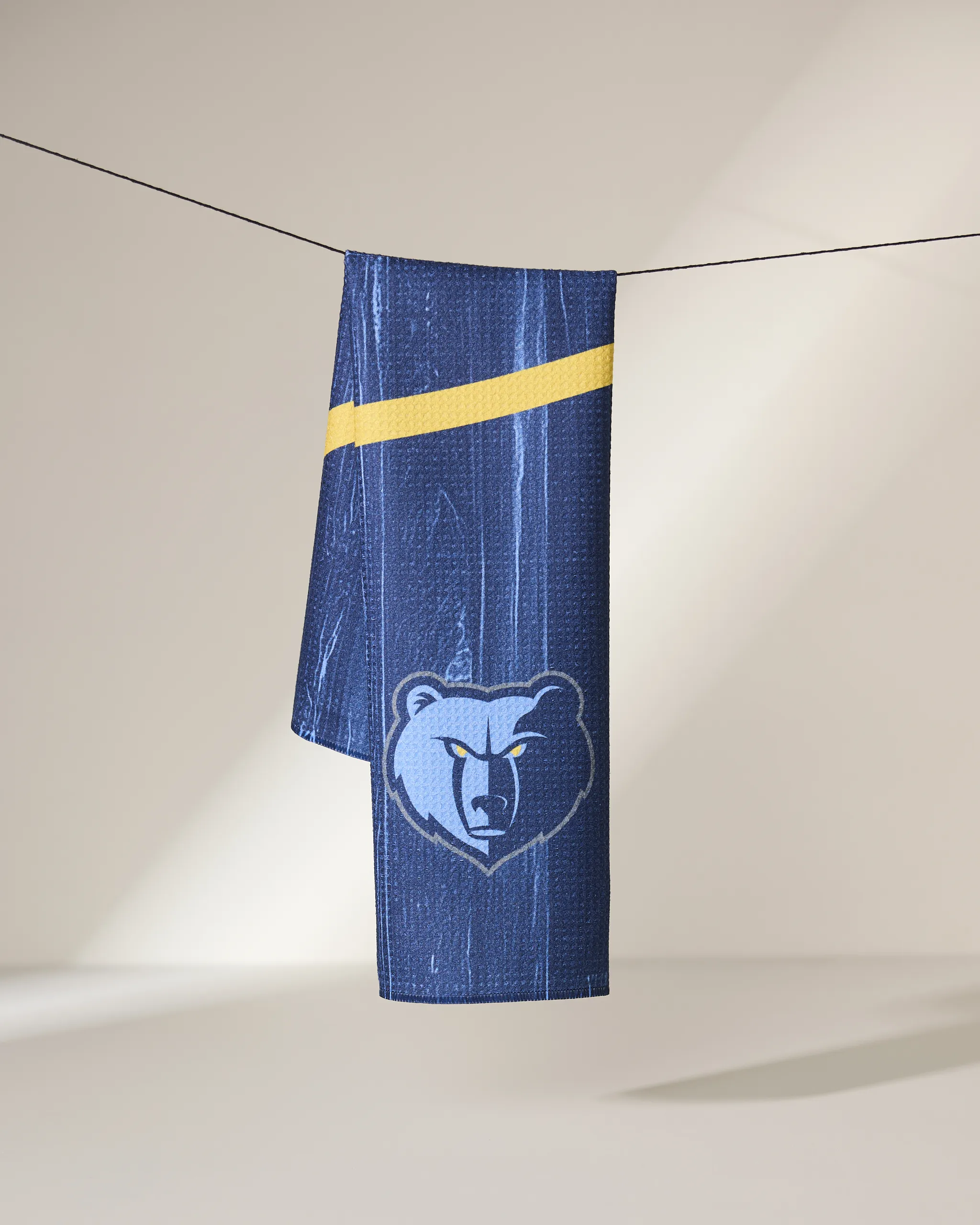 Grizzlies Zone