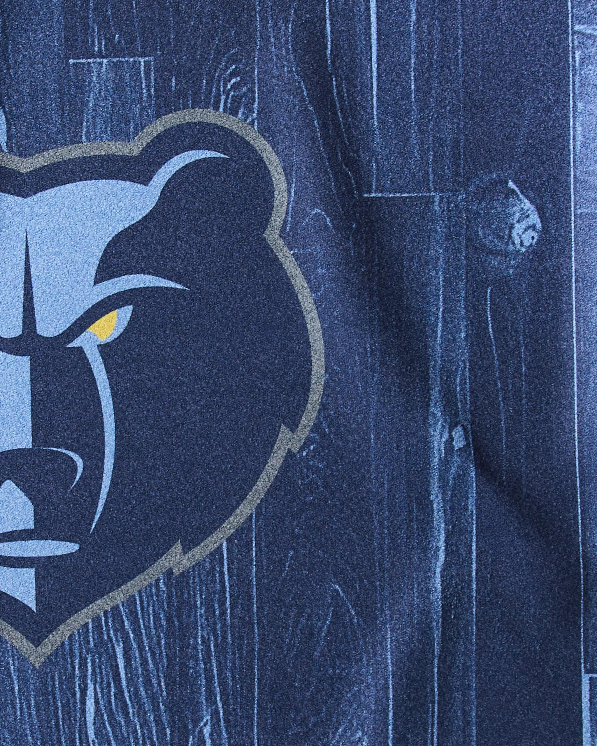 Grizzlies Zone - Image 2
