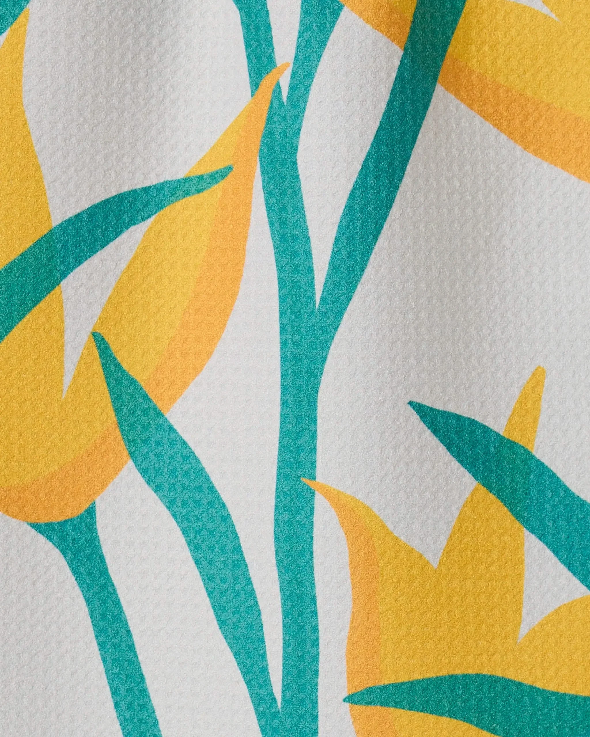 Growth - Image 2