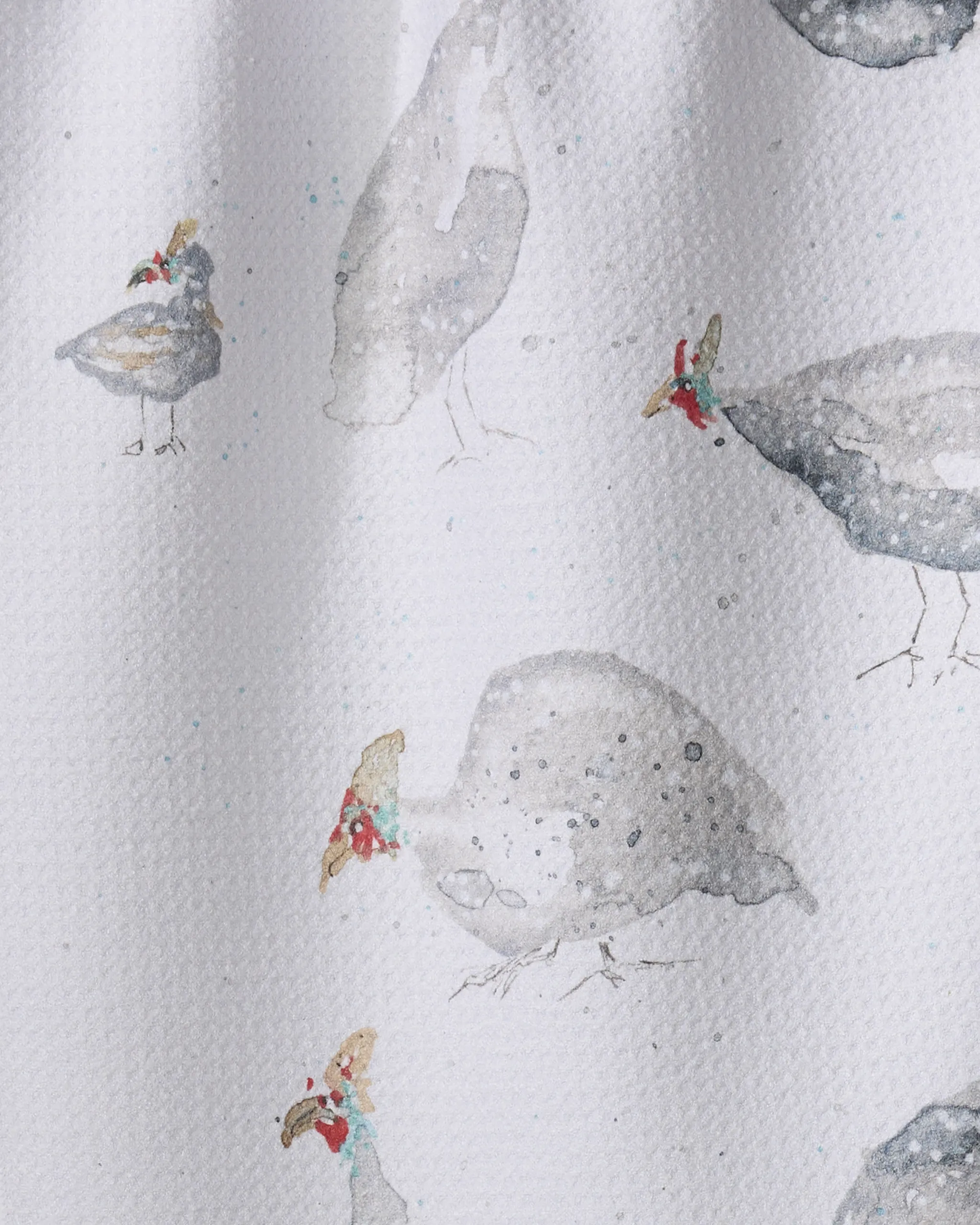 Guinea Fowls - Image 2