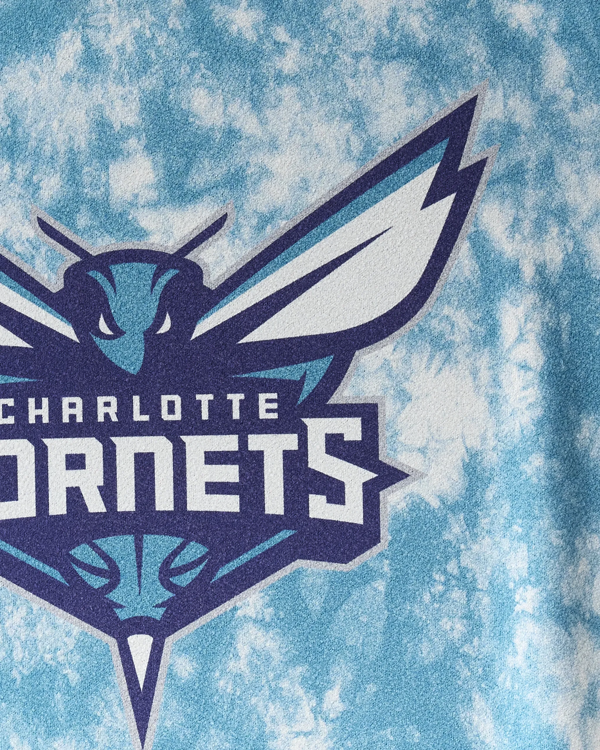 Hornets Flash - Image 2